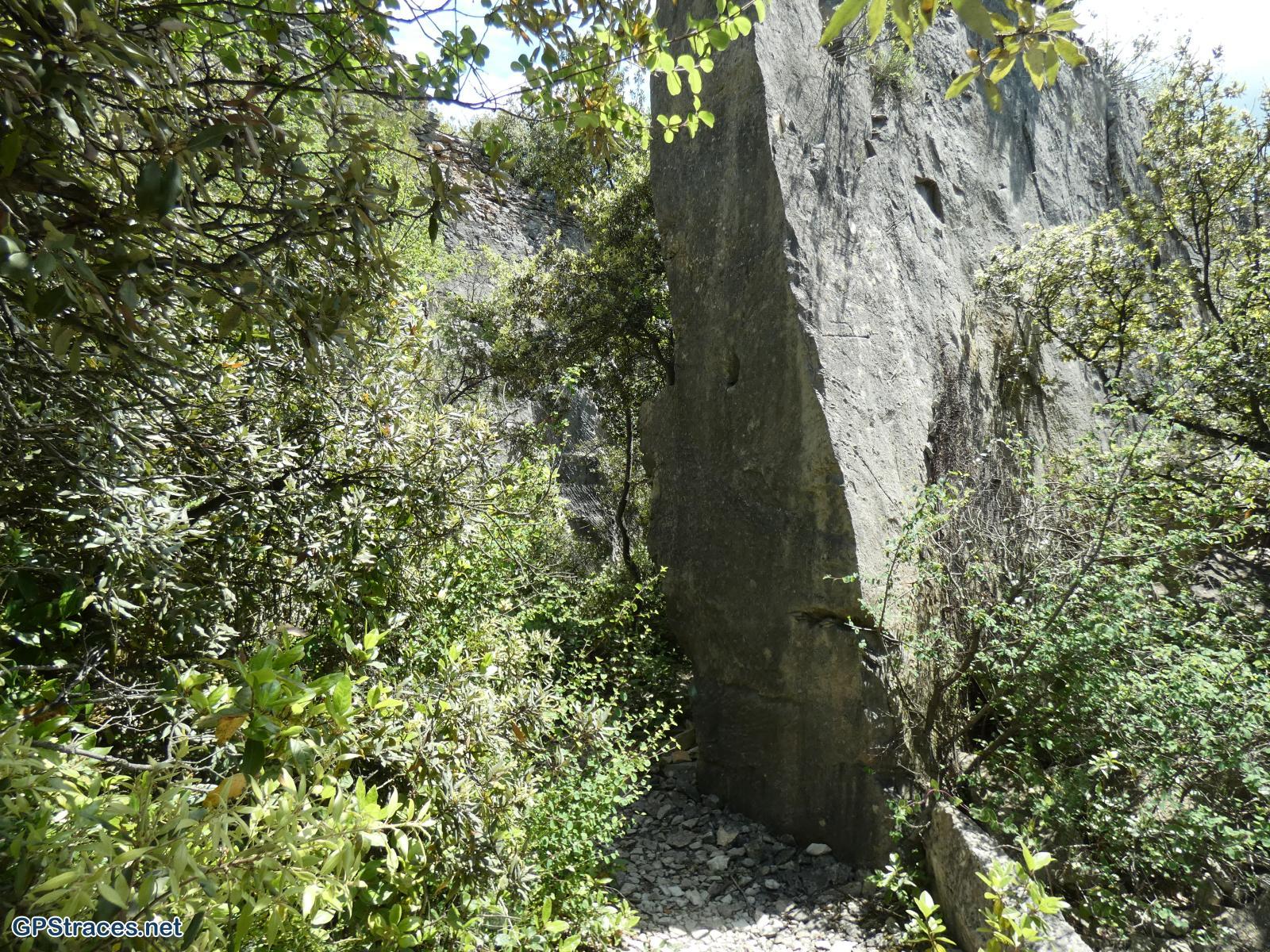 Gard-Les carrières et le bois des Lens–14