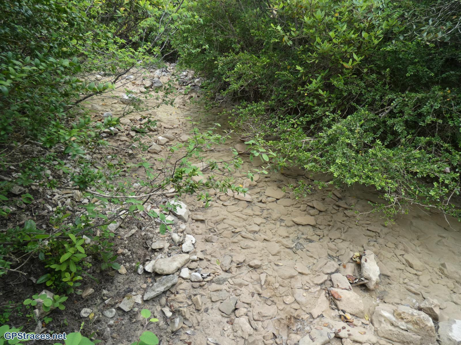 Le ruisseau des Lens