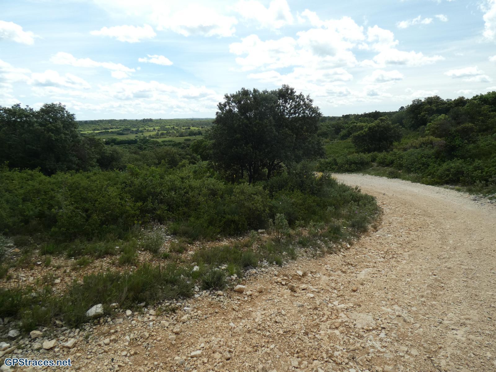 Gard-Les carrières et le bois des Lens–5