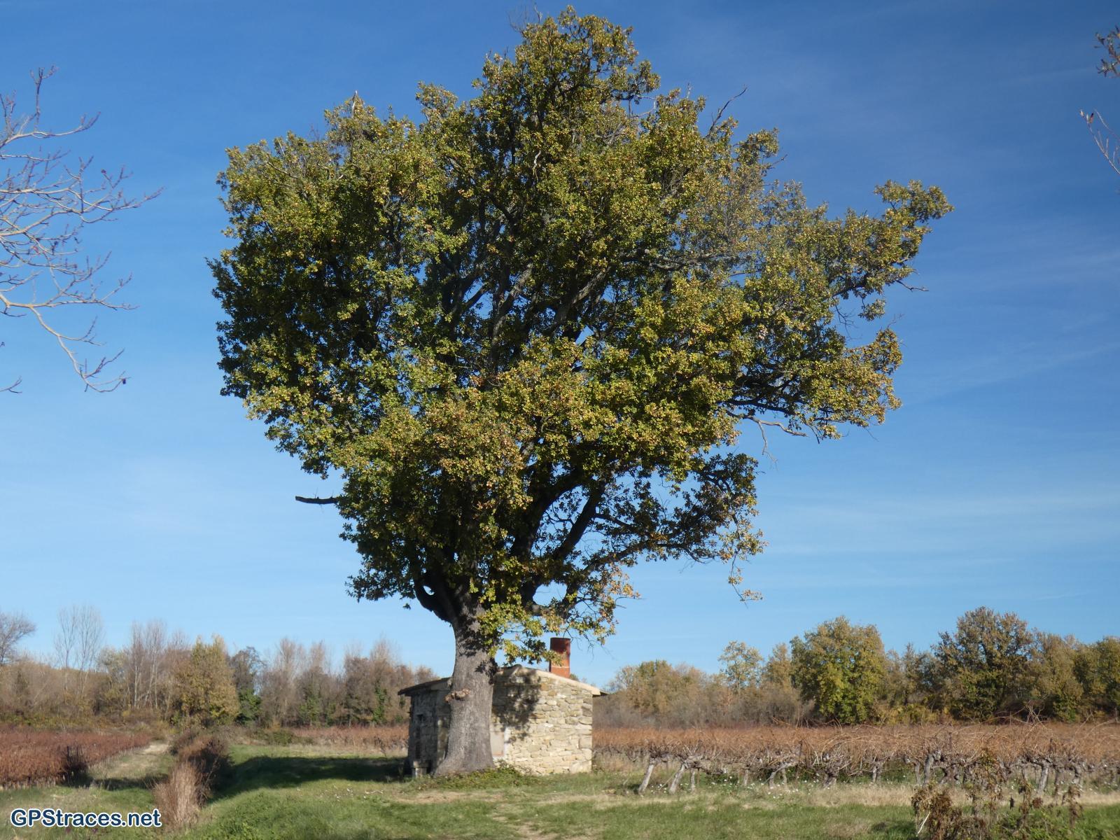 Gard-Castelnau - Brignon - St-Maurice–13