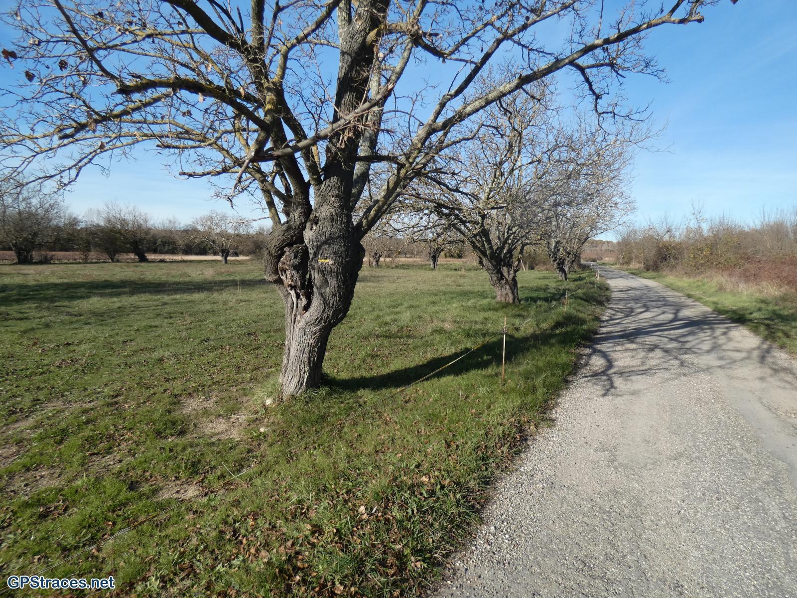 Gard-Castelnau - Brignon - St-Maurice–12