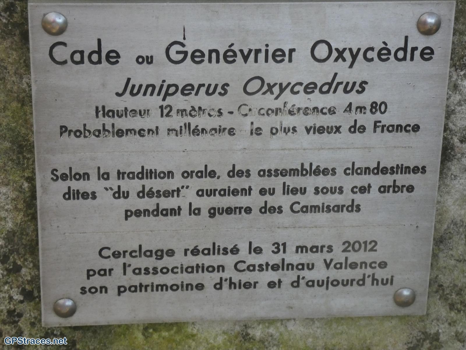 Gard-Castelnau - Brignon - St-Maurice–2