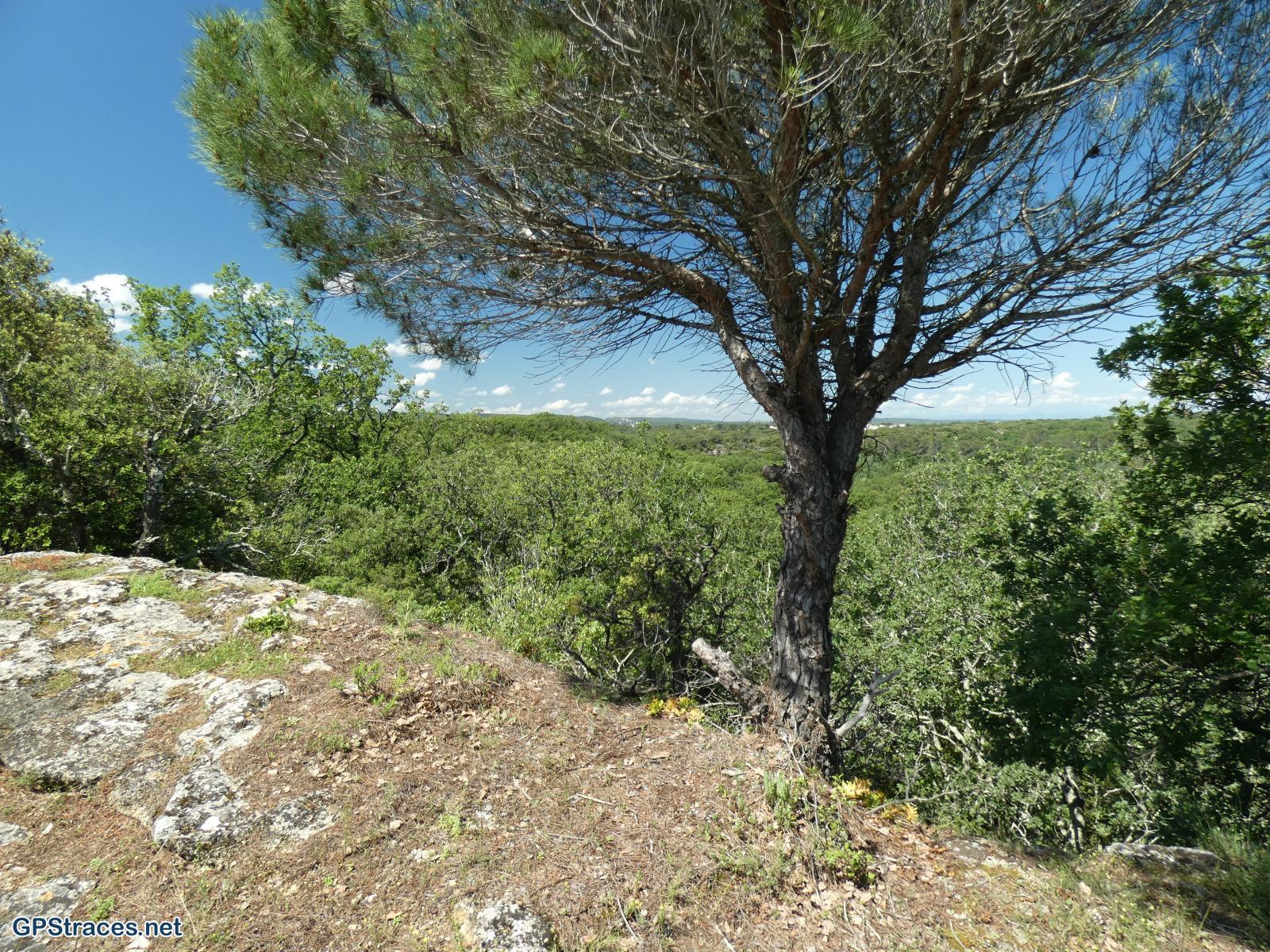 Gard-De Castillon au Pont du Gard–2