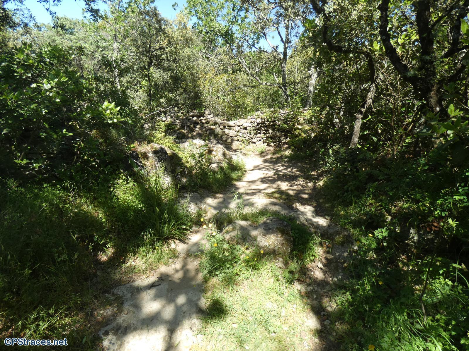 Gard-Castillon du Gard - Forêt de Saint Martin–10