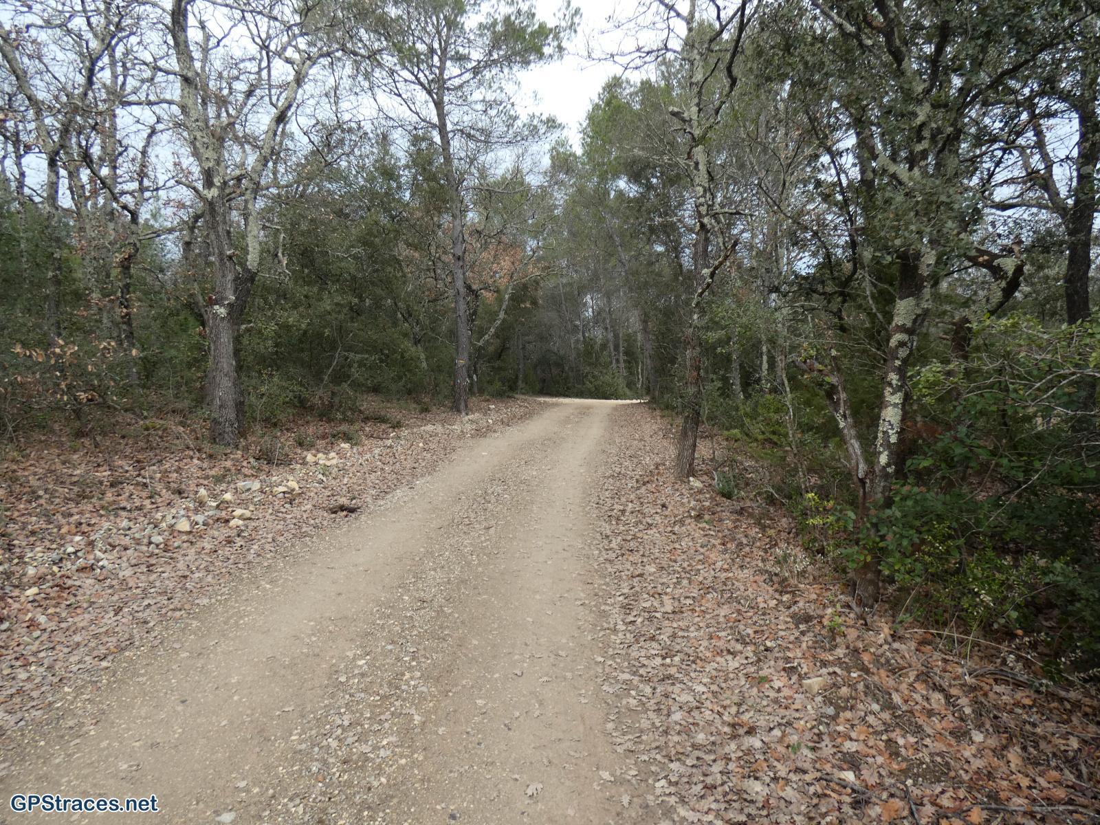 Gard-Le Chabian - Vacquières - Vallée de Comblau–2
