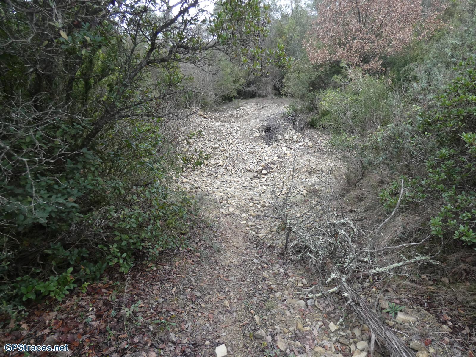 Le ruisseau des Troubadours