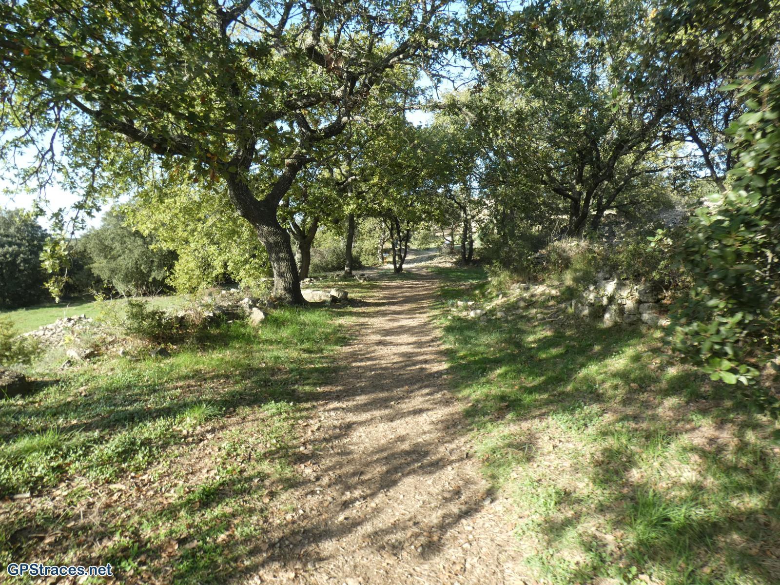 Gard-Chapelle St-Pierre - Camp de César–9