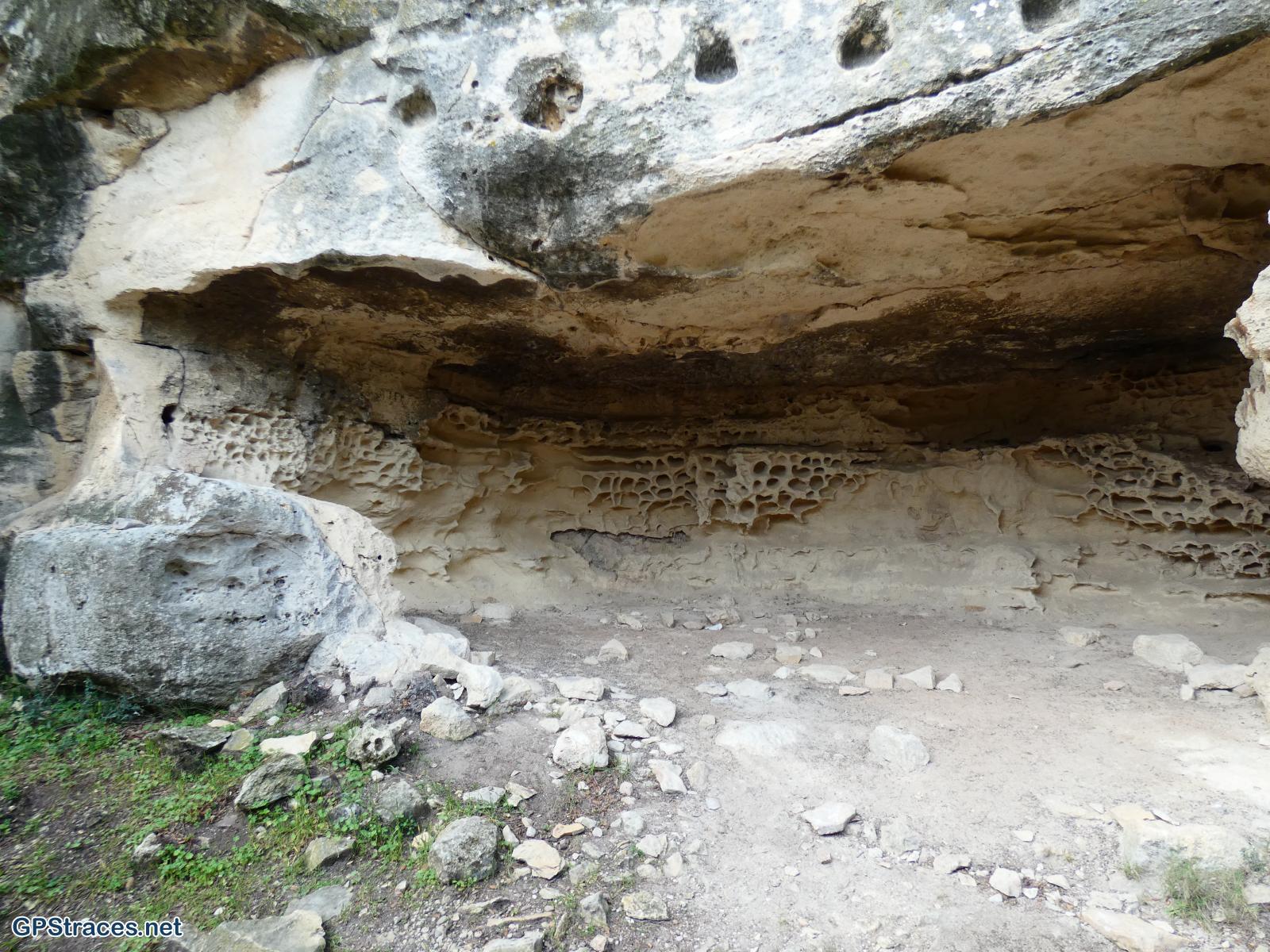 Habitat dans l'aiguille
