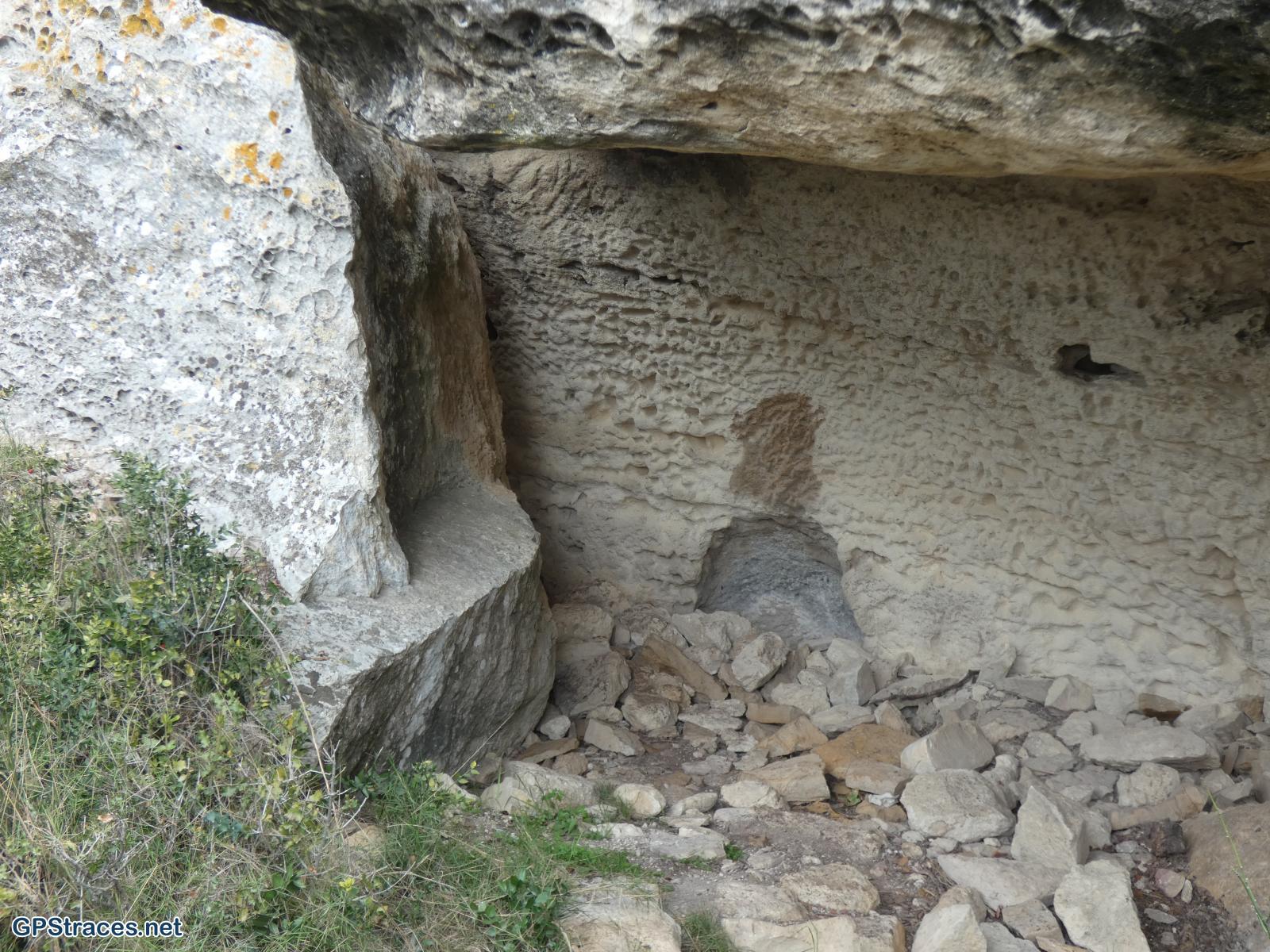 Habitat dans l'aiguille