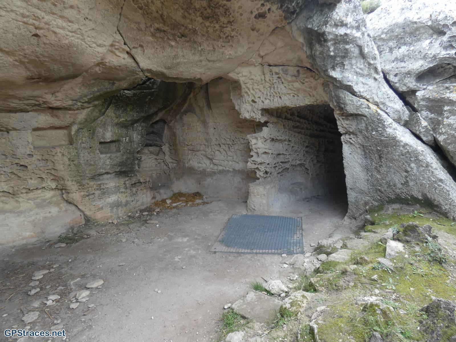 Habitat dans l'aiguille