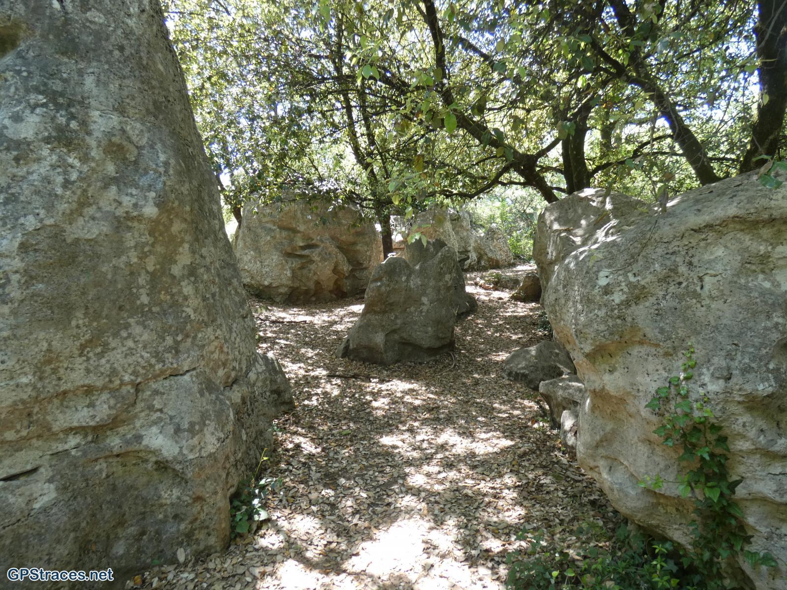 Le bois de Païolive