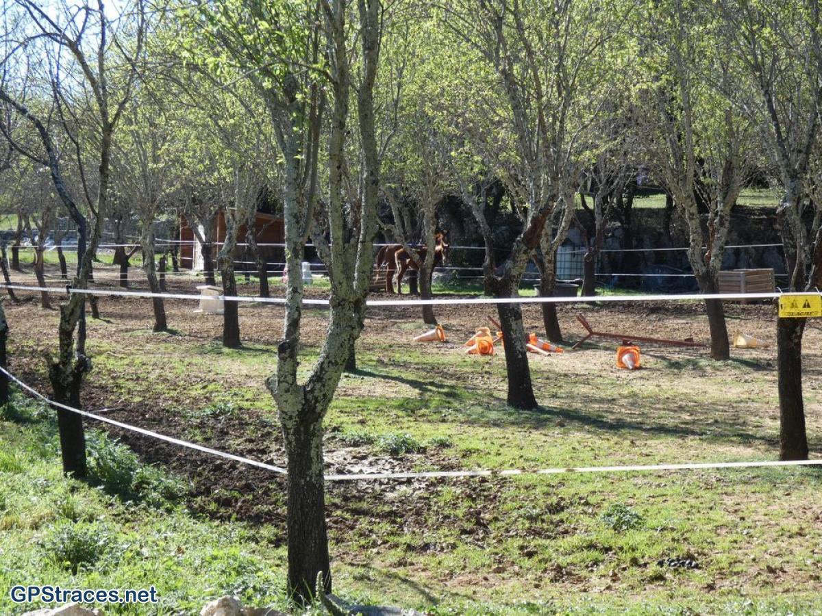 Gard-Les Concluses - Le menhir–9