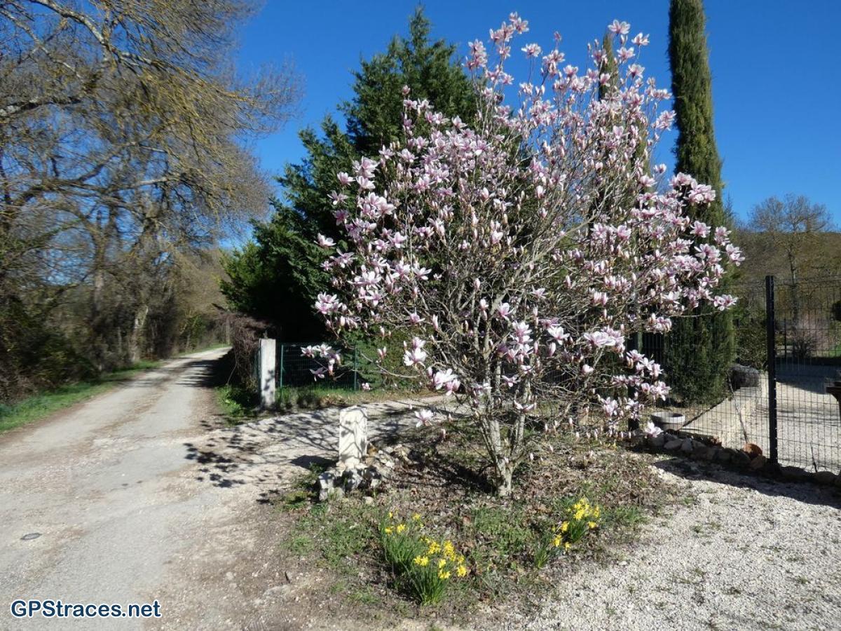Gard-Les Concluses - Le menhir–15