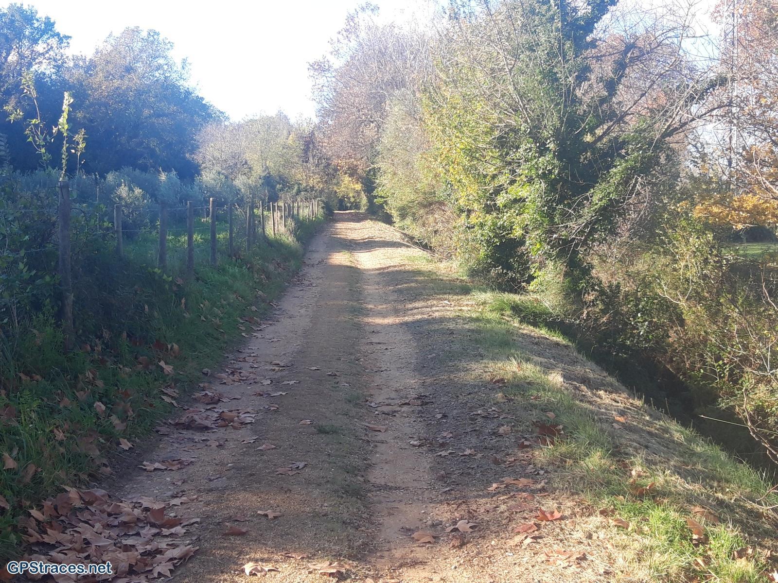 Gard-Les Costières - Canal du Rhône à Sète–0