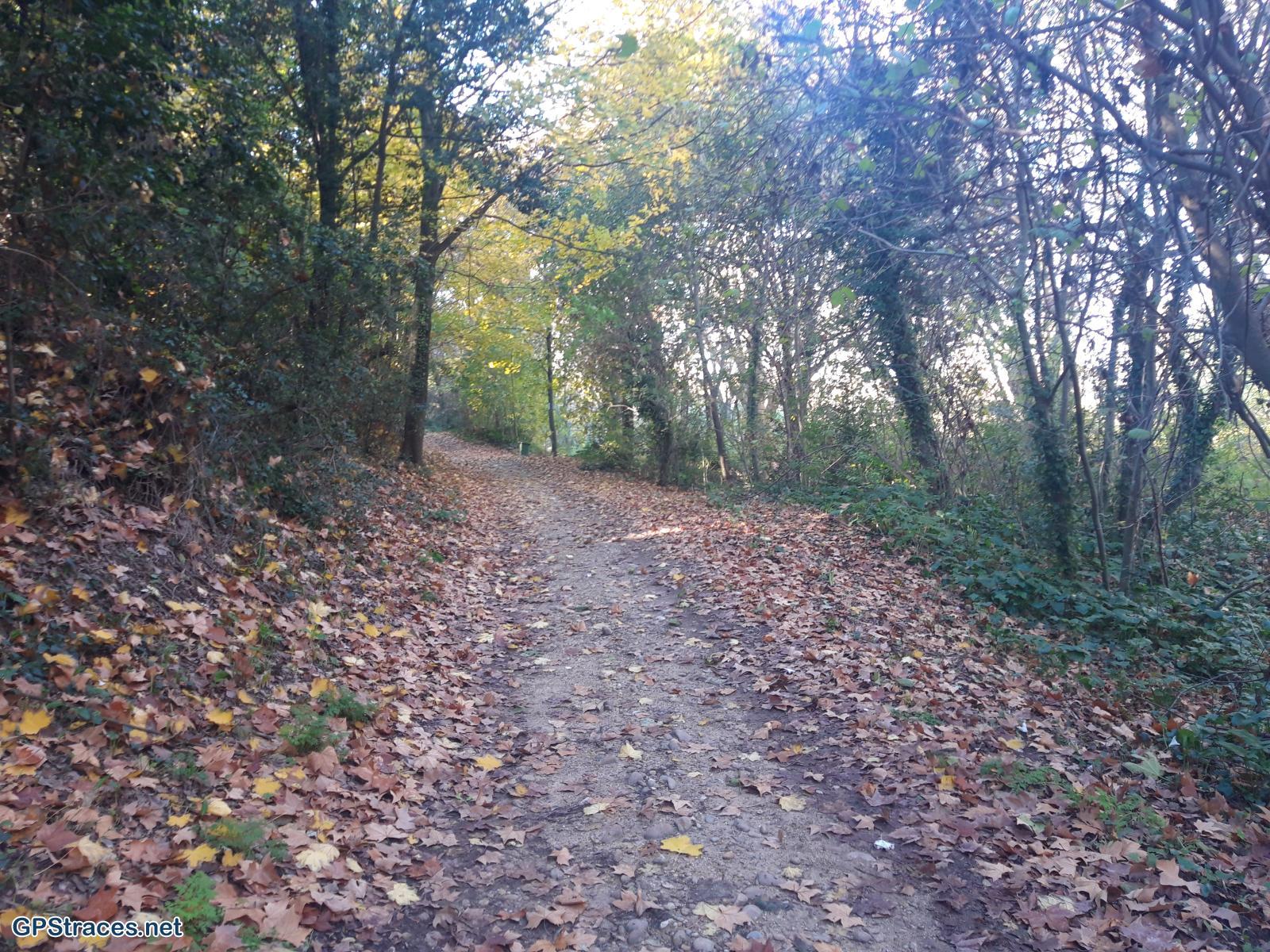 Gard-Les Costières - Canal du Rhône à Sète–1