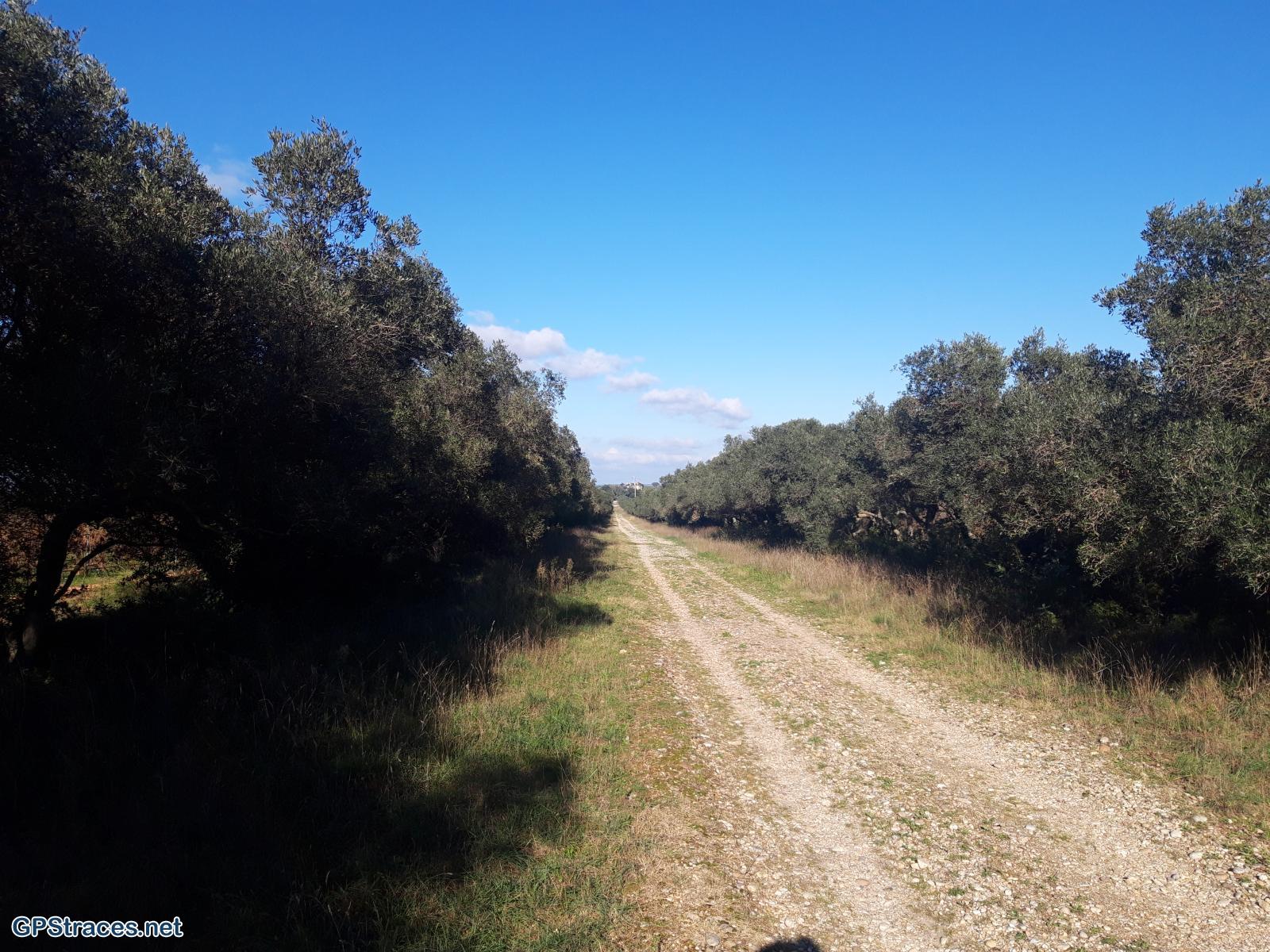 Gard-Les Costières - Canal du Rhône à Sète–3