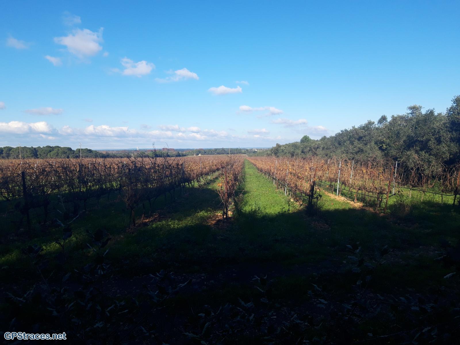 Gard-Les Costières - Canal du Rhône à Sète–4