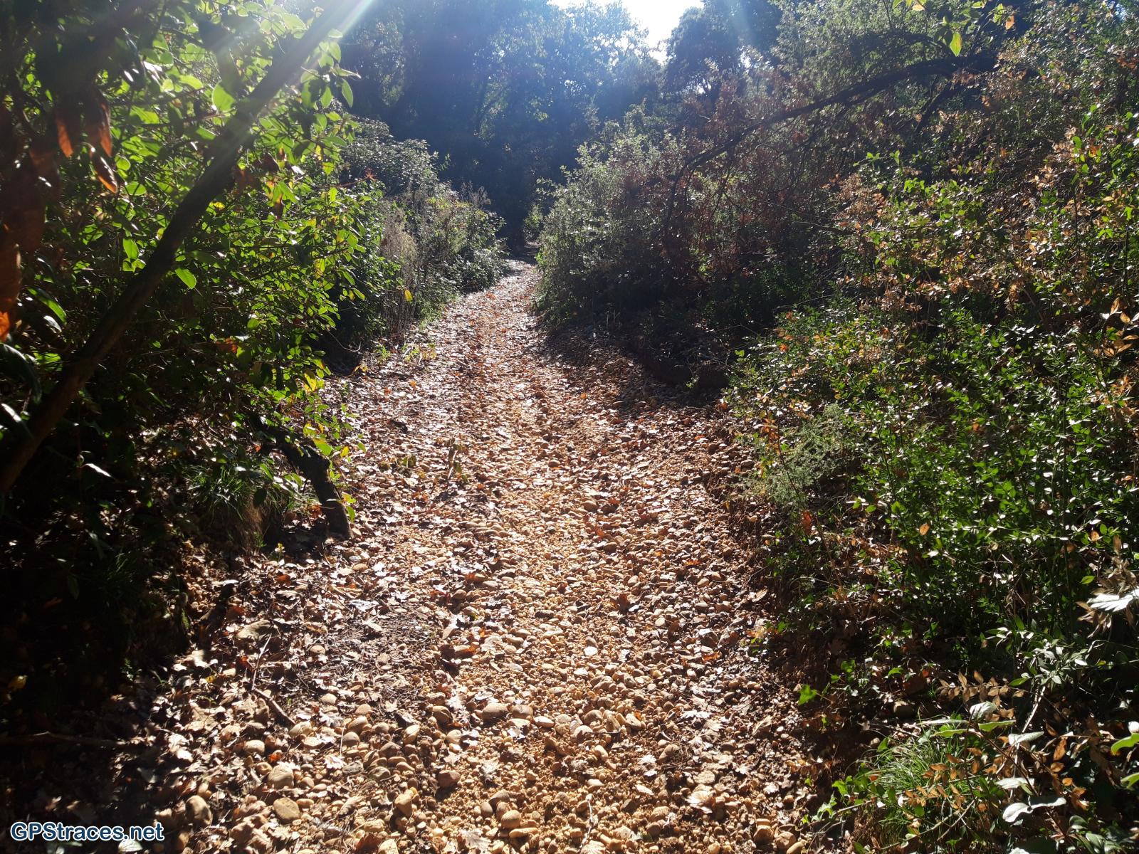 Gard-Les Costières - Canal du Rhône à Sète–5