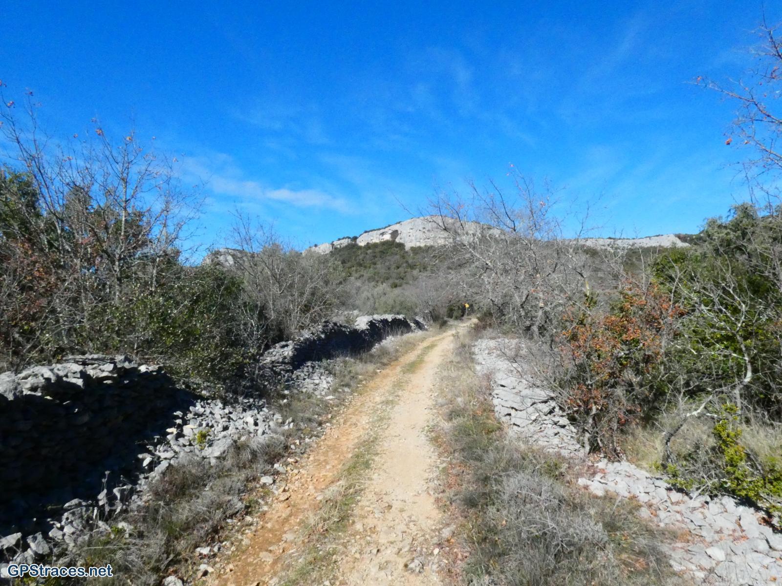 Gard-Les crêtes du Serre de Fons–3