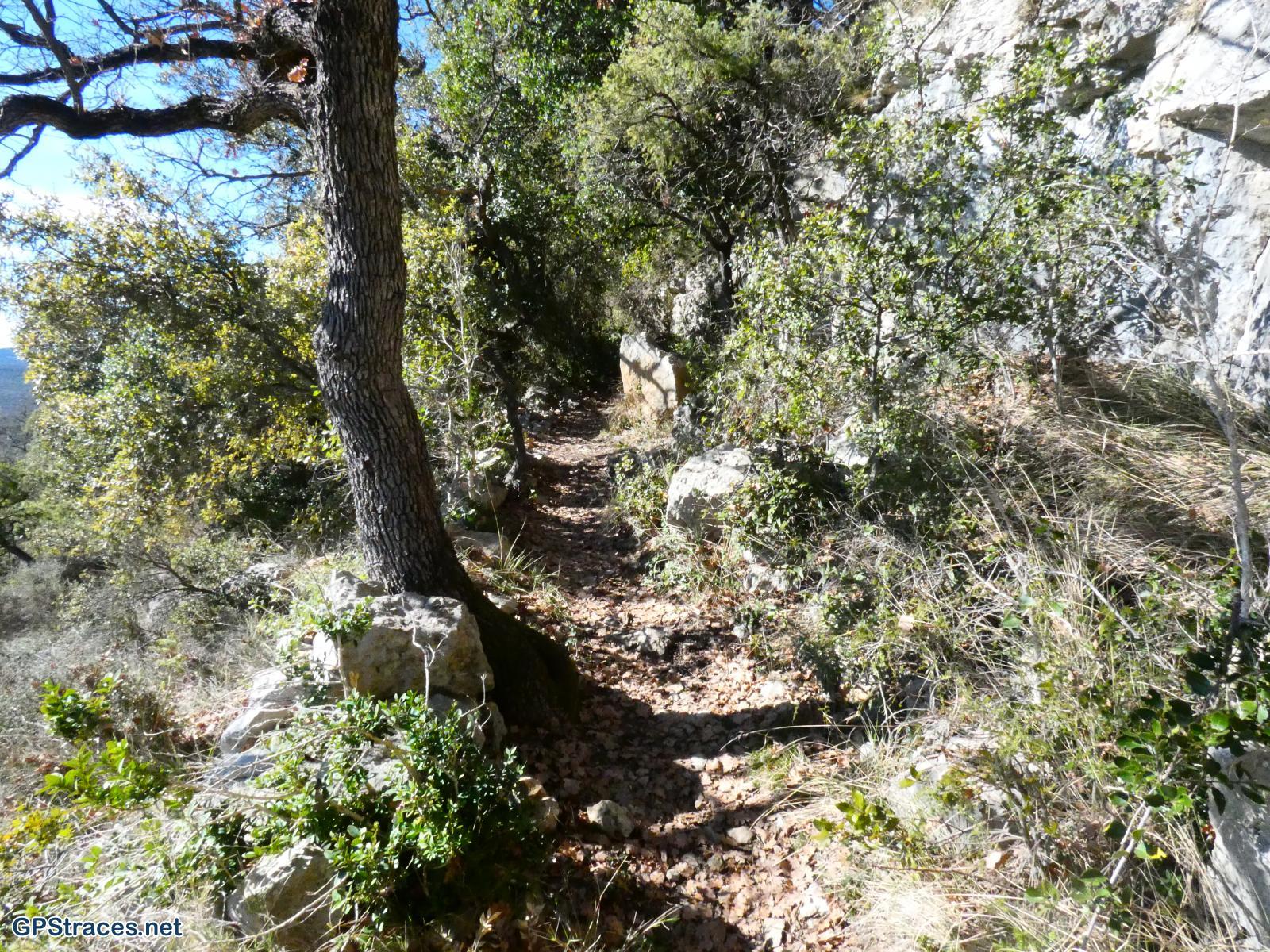 En montant au Serre