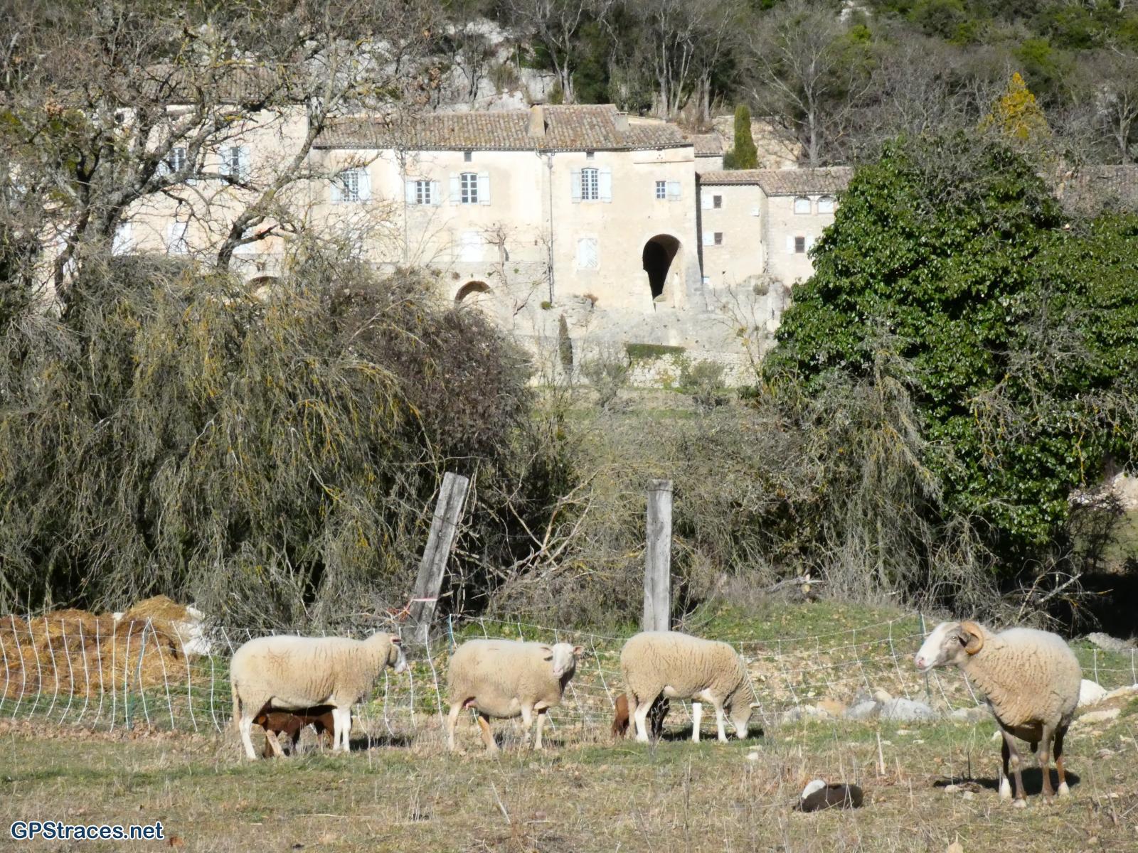 La Lèque