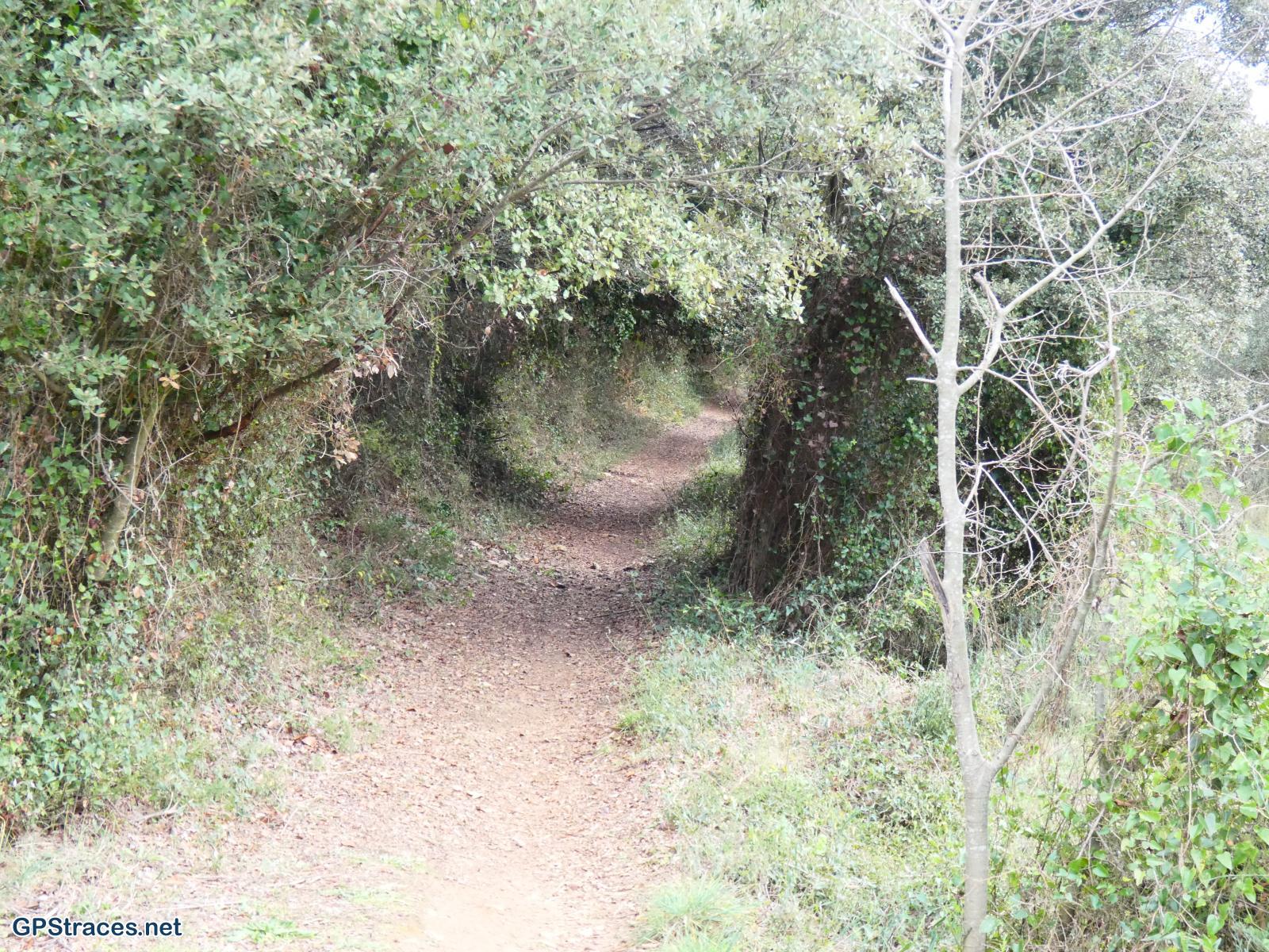 Gard-Les Darbounelles – Grotte de Bornègre - Argilliers–3