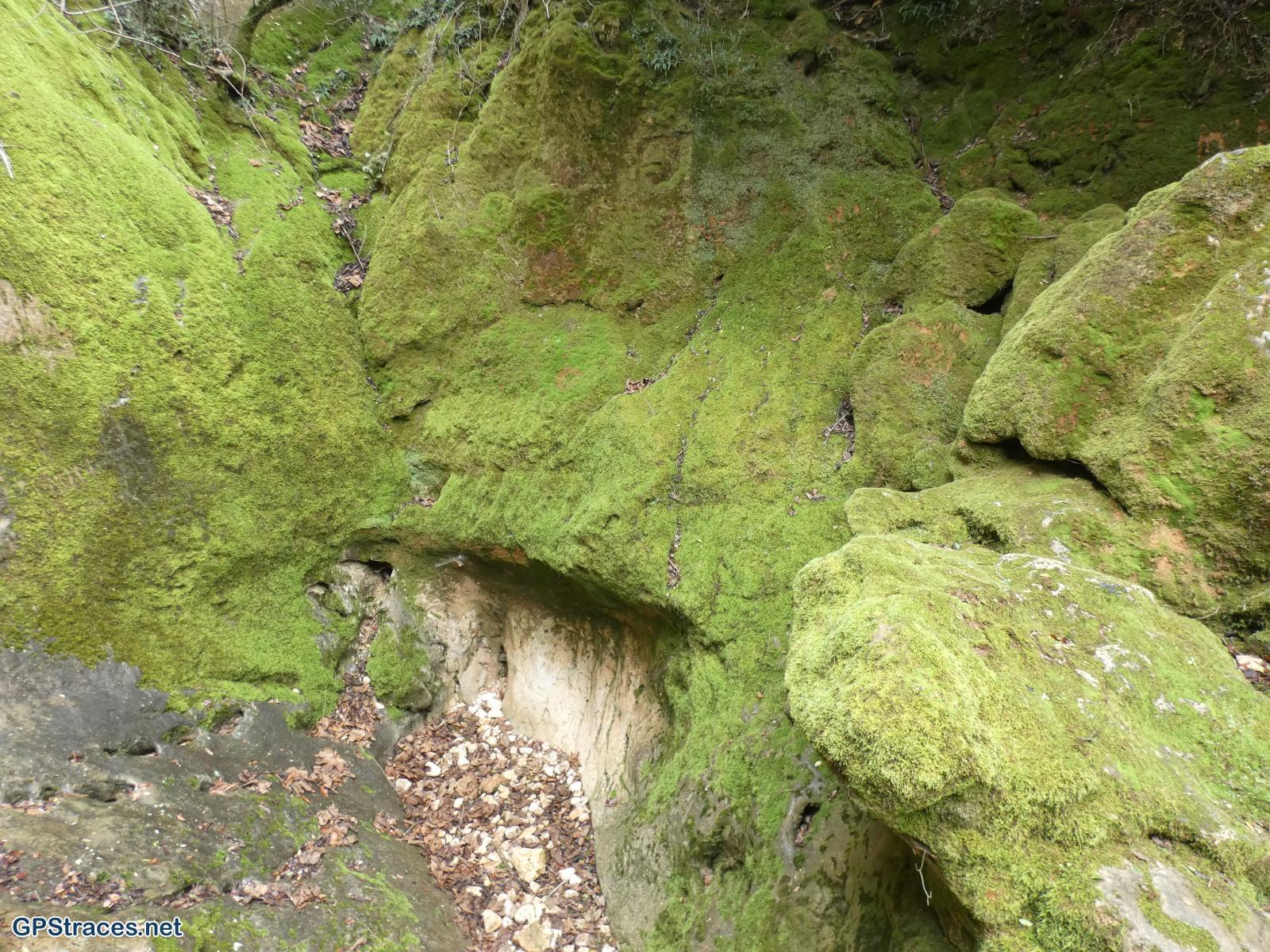 Gard-Les Darbounelles – Grotte de Bornègre - Argilliers–10