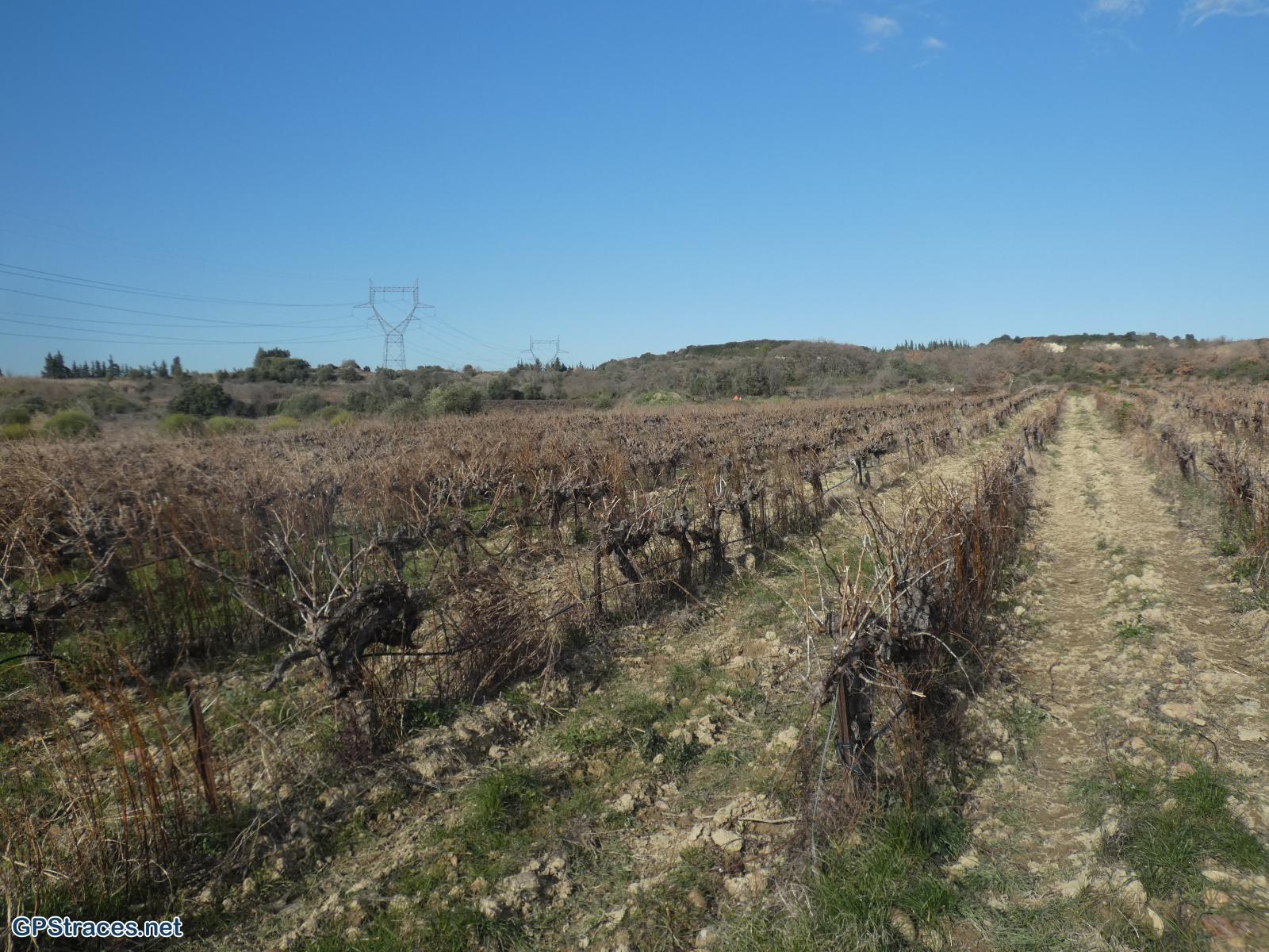 Gard-Domazan - Le Castellas–2