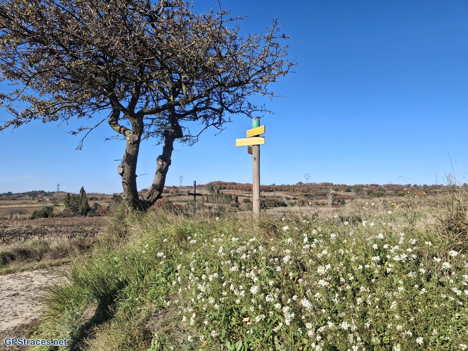 Gard-Domazan - Estézargues - Fosses de Fournès–0