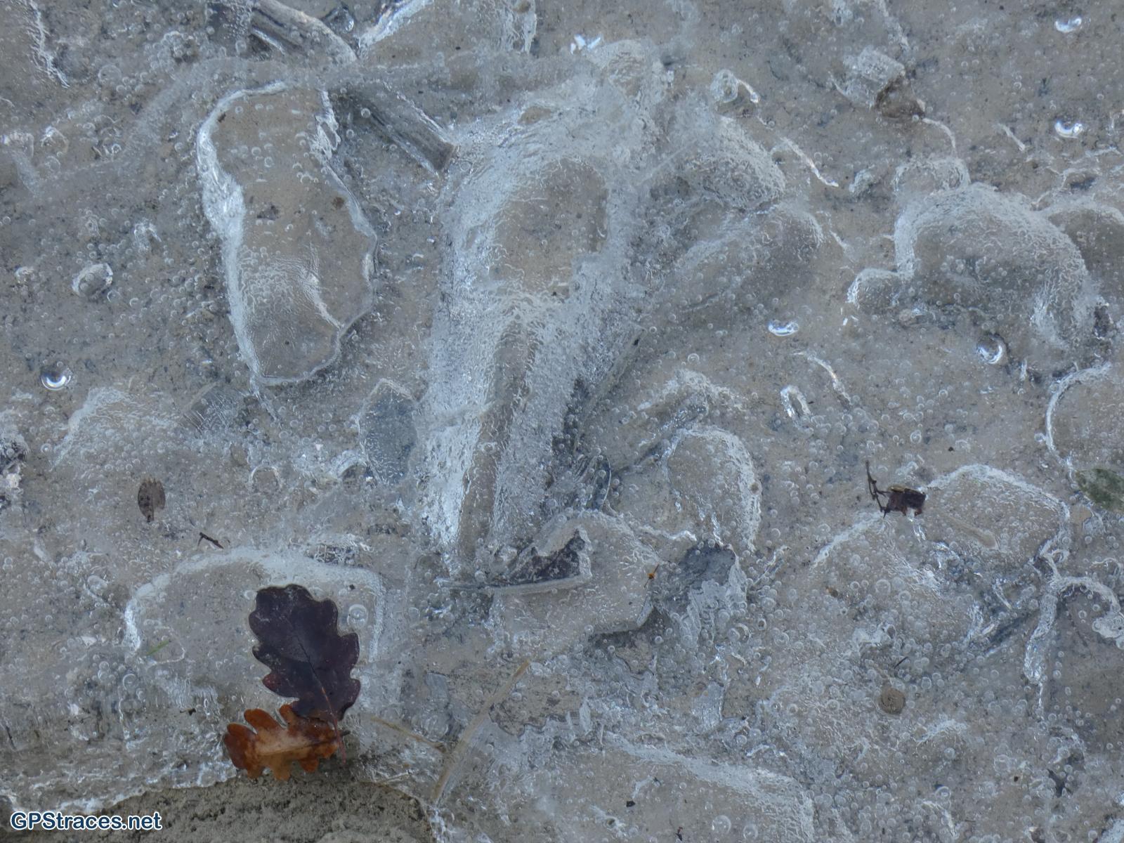Une épaisse couche de glace