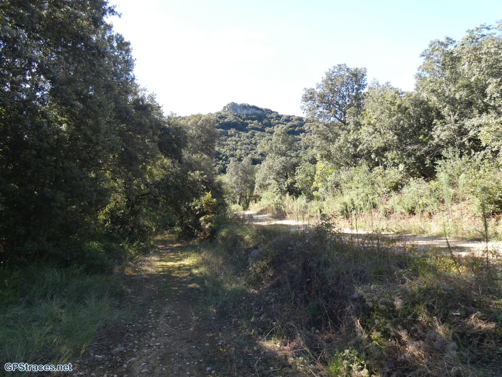 Gard-De Gaujac à l'oppidum Saint-Vincent–1