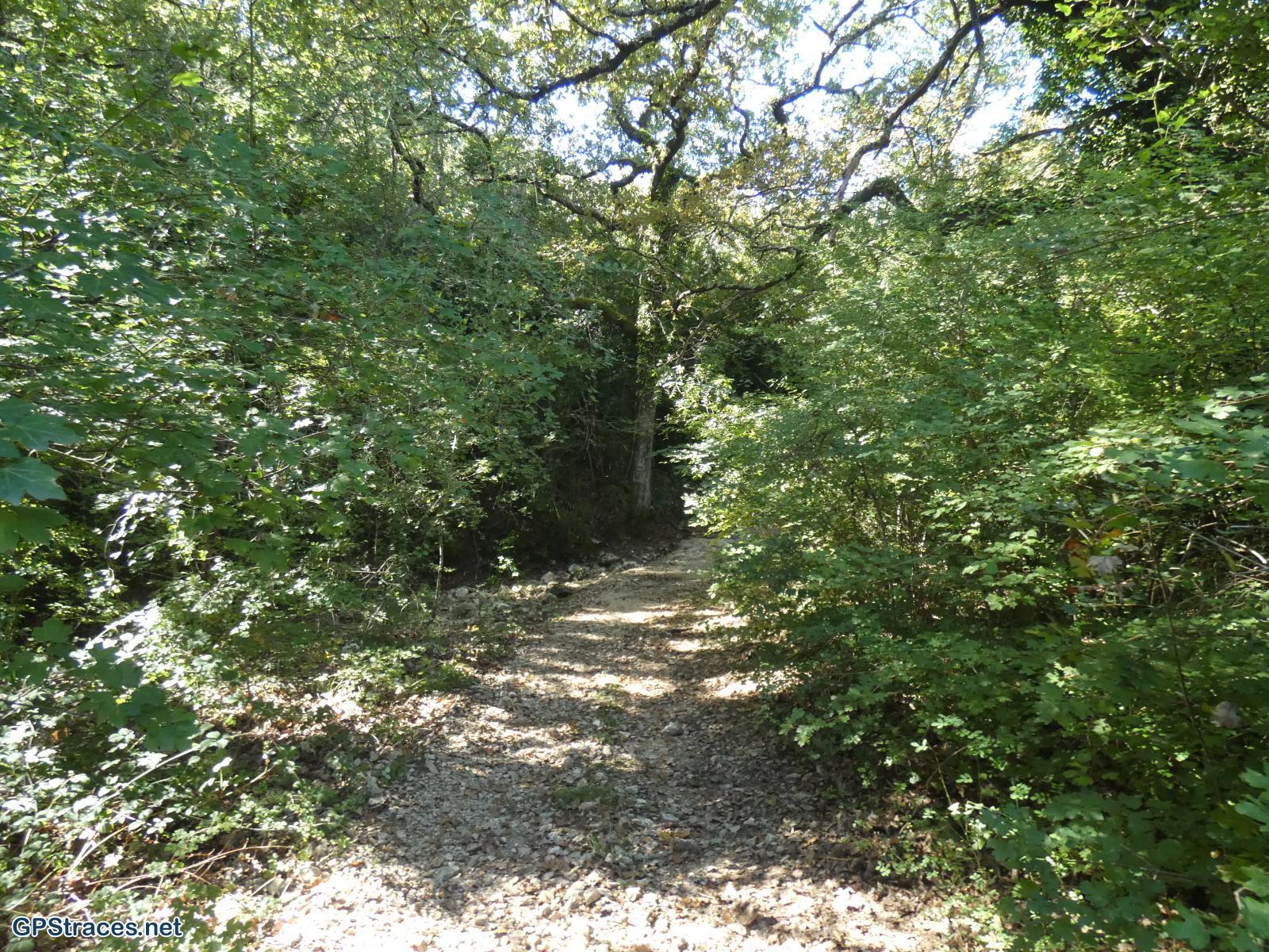 Gard-De Gaujac à l'oppidum Saint-Vincent–2