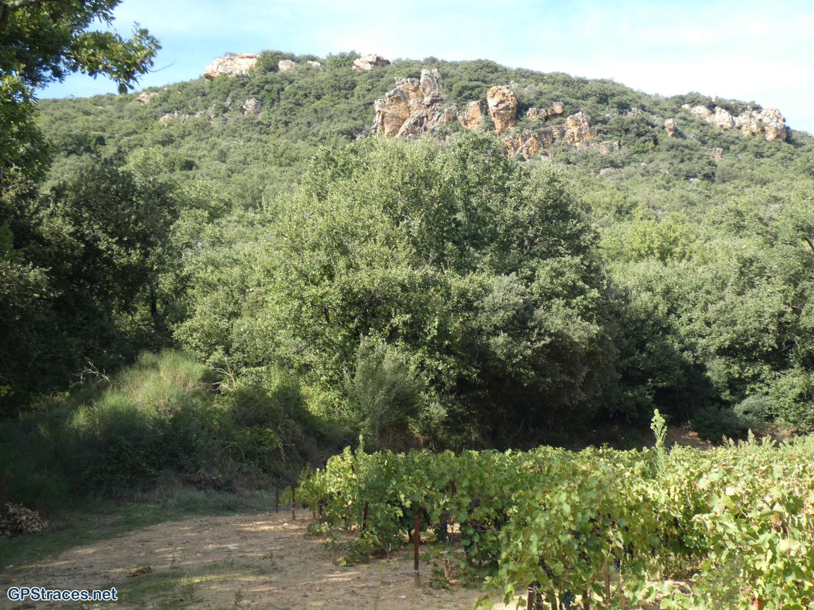 Gard-De Gaujac à l'oppidum Saint-Vincent–11