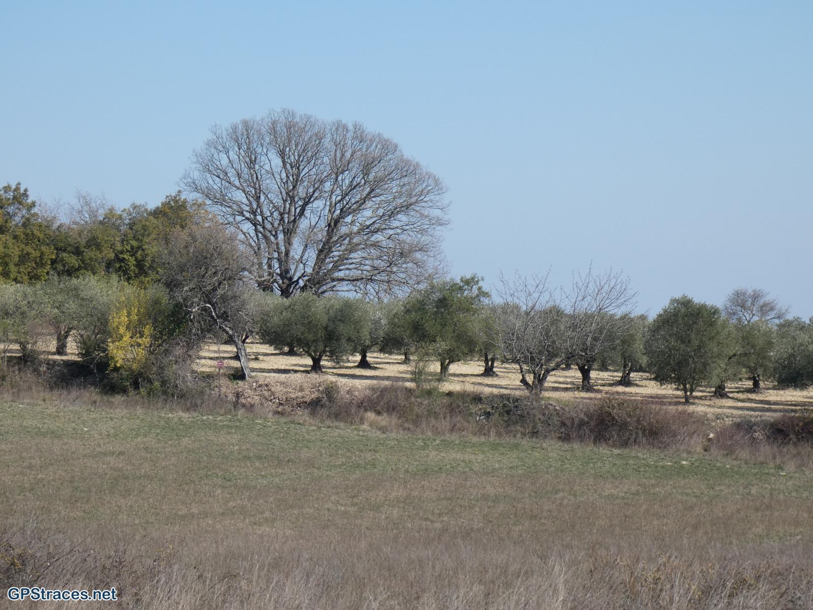 Gard-Lussan - Vendras–9