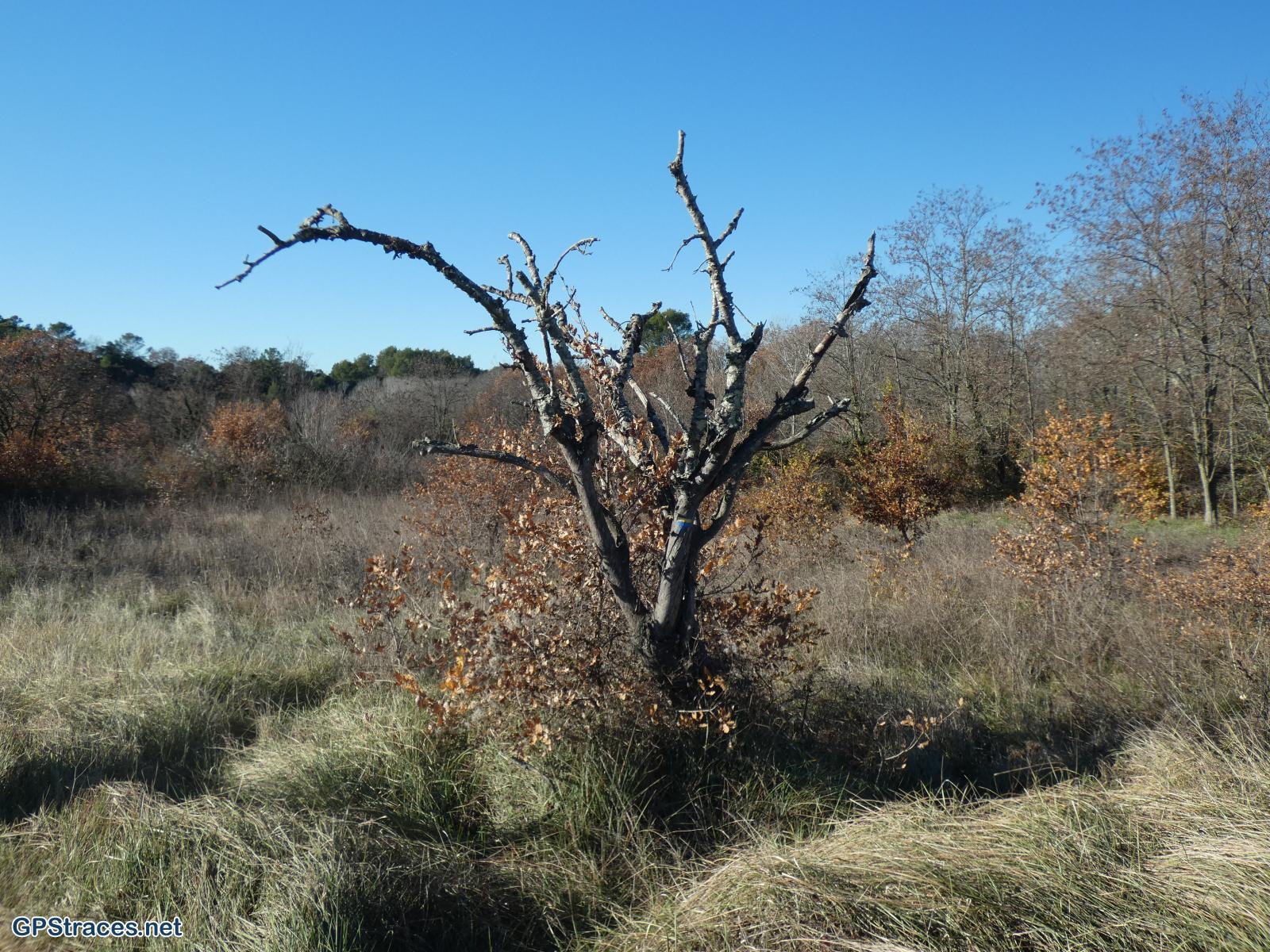 Gard-De Masmolène à Pougnadoresse–2