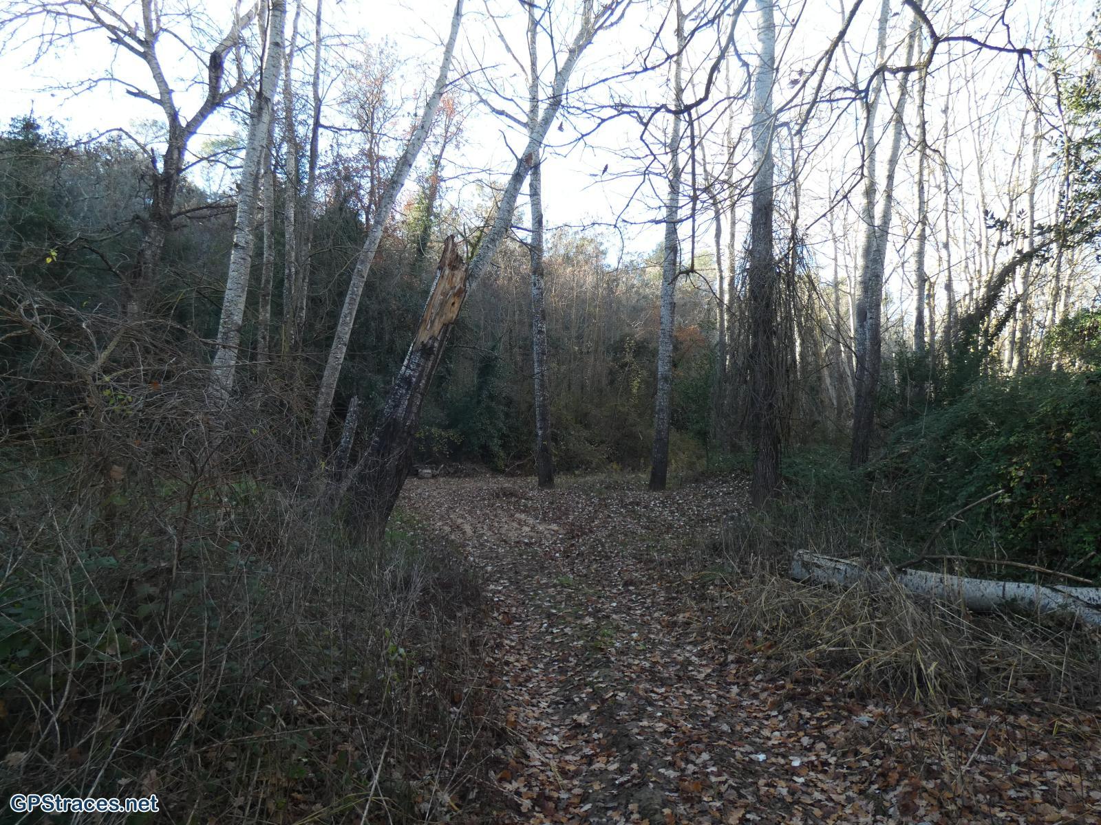 Gard-De Masmolène à Pougnadoresse–3