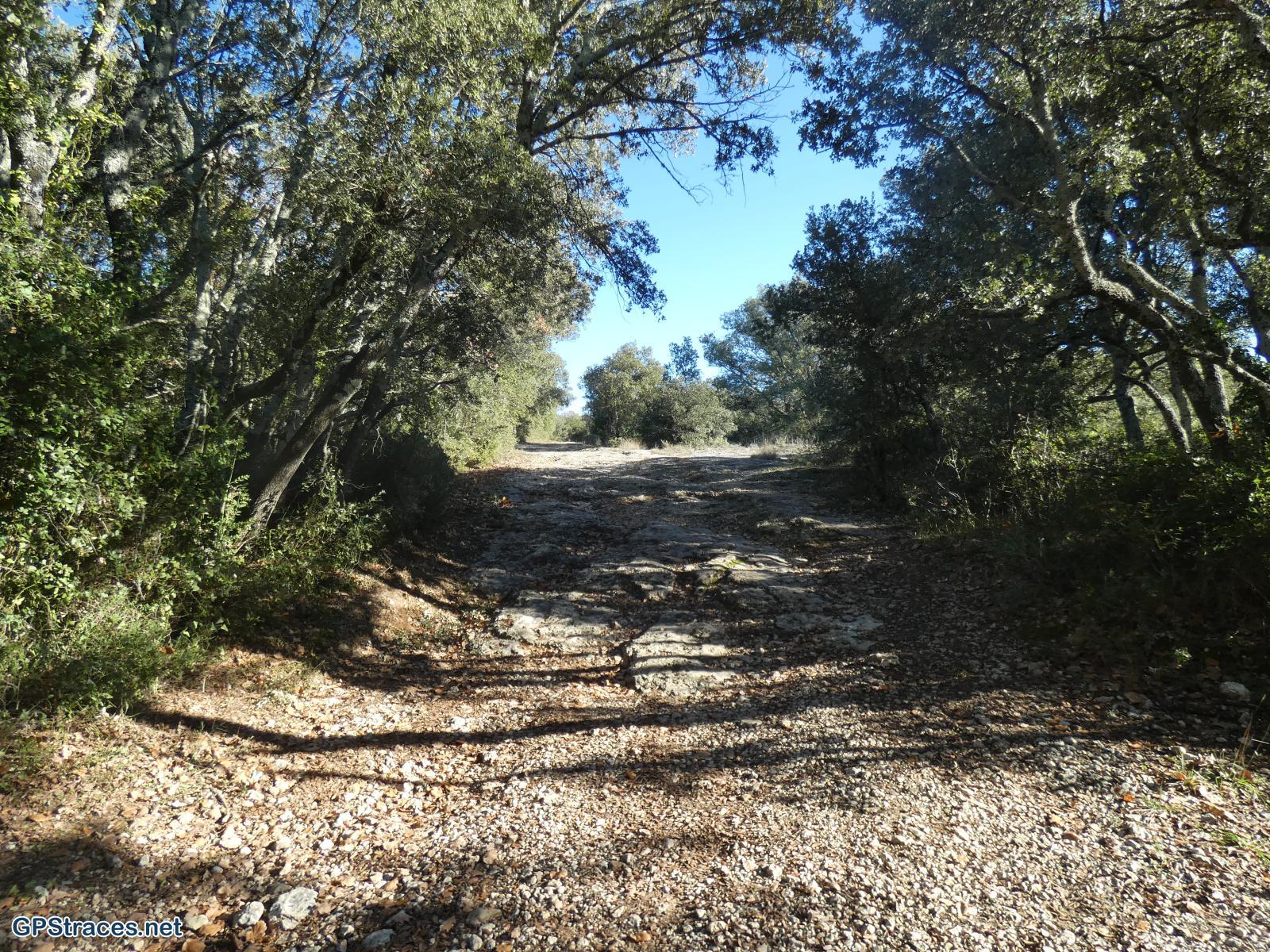 Gard-De Masmolène à Pougnadoresse–6