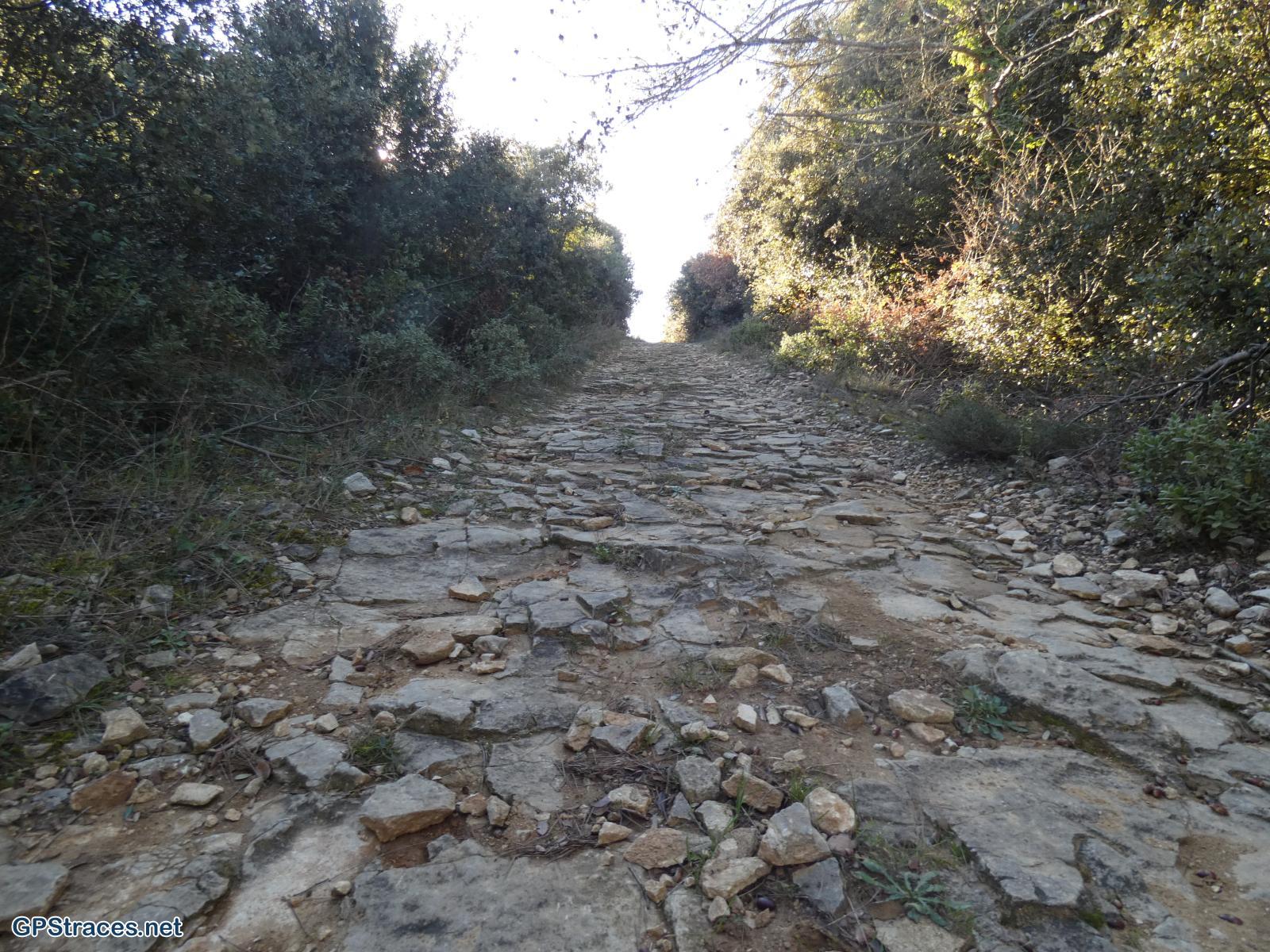 Le Grand Chemin Royal