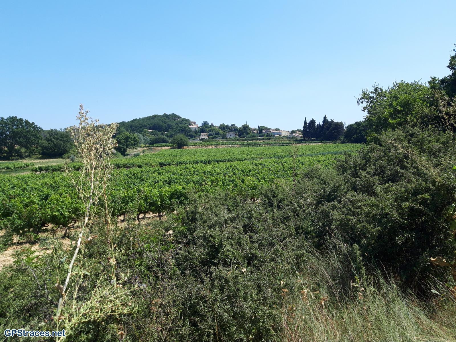 Gard-Masmolène - Saint Victor des Oules–0