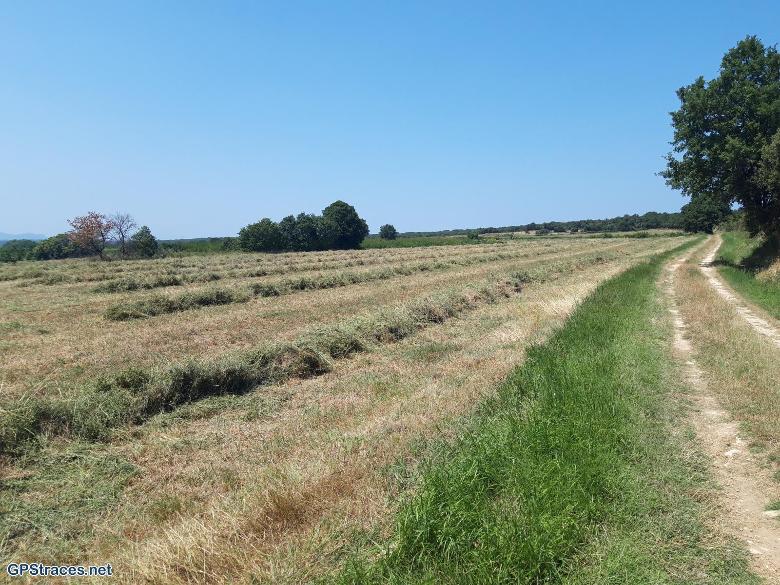 Gard-Masmolène - Saint Victor des Oules–1