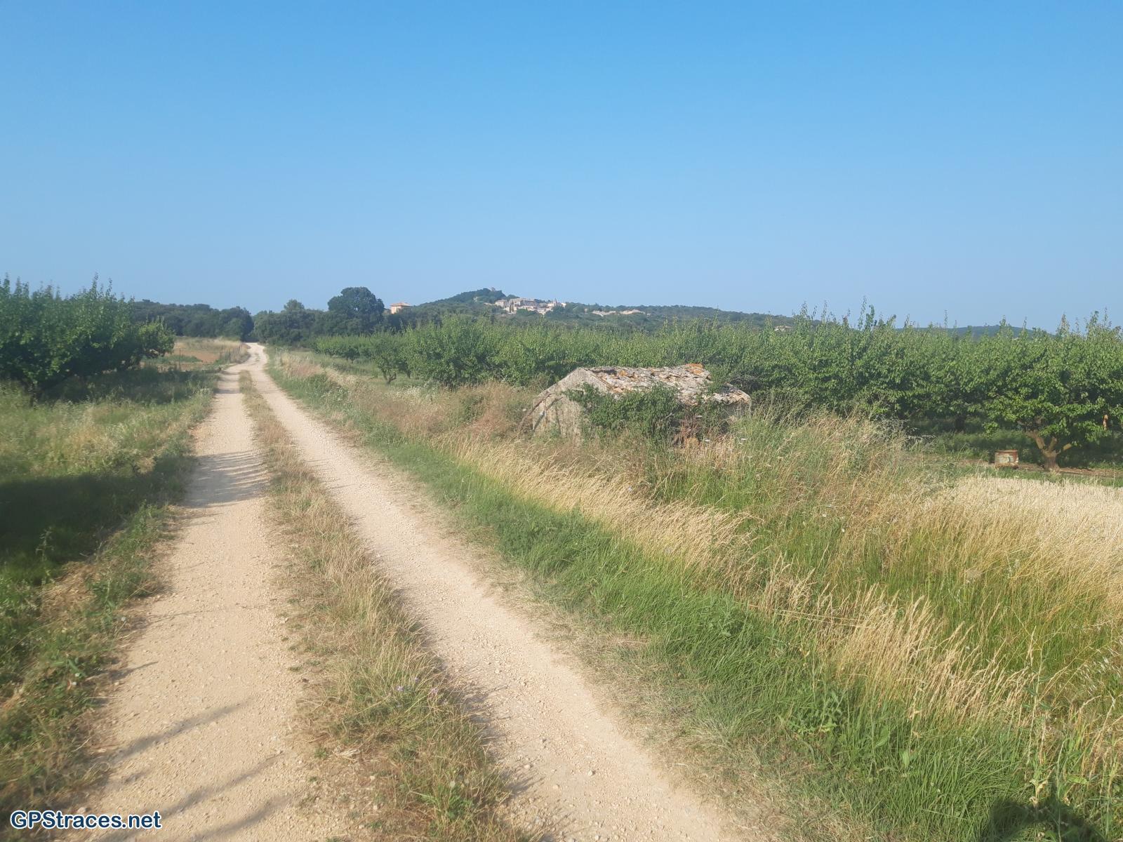 Le chemin du retour