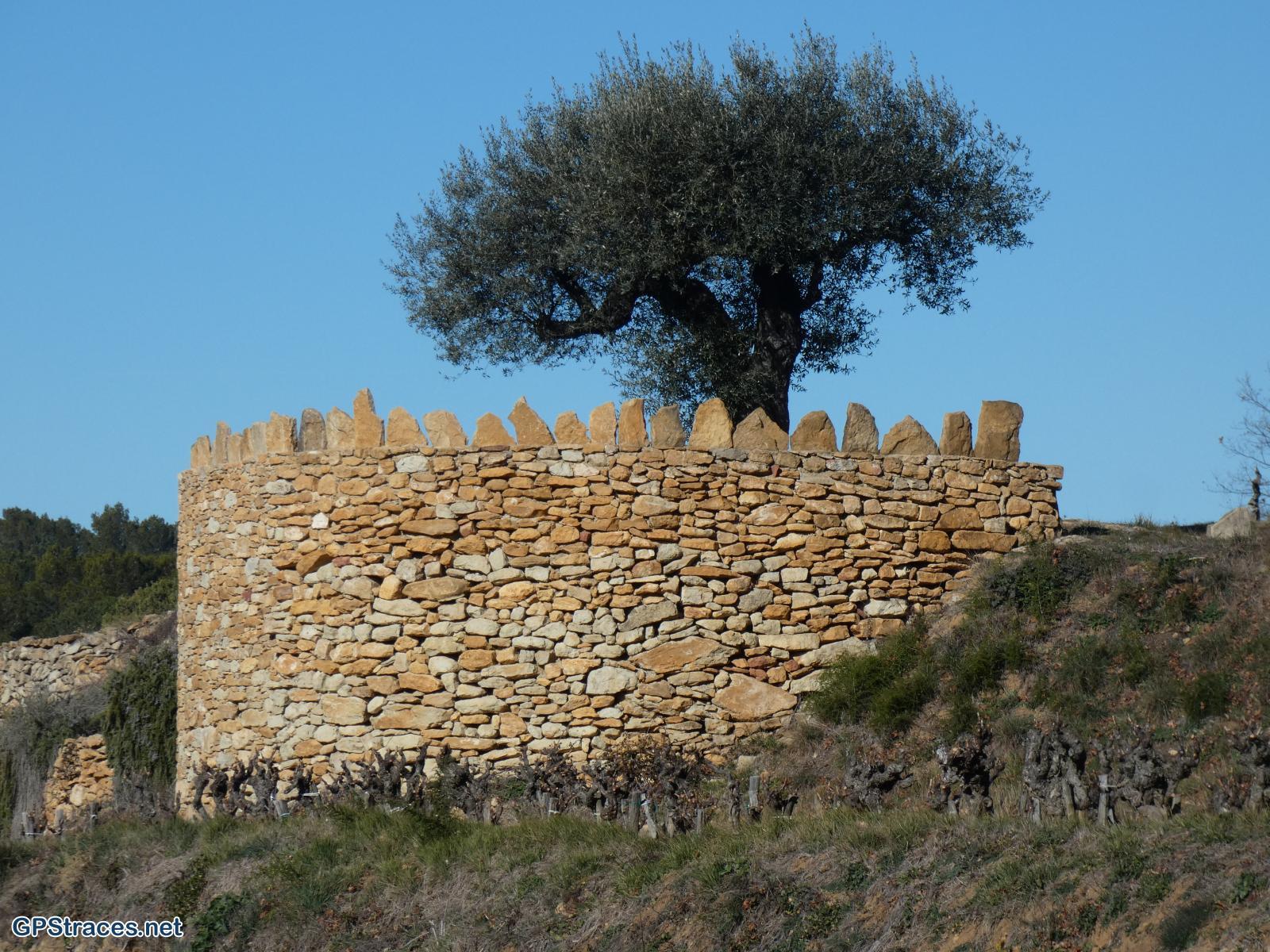 Gard-Mégiers - Sabran–2