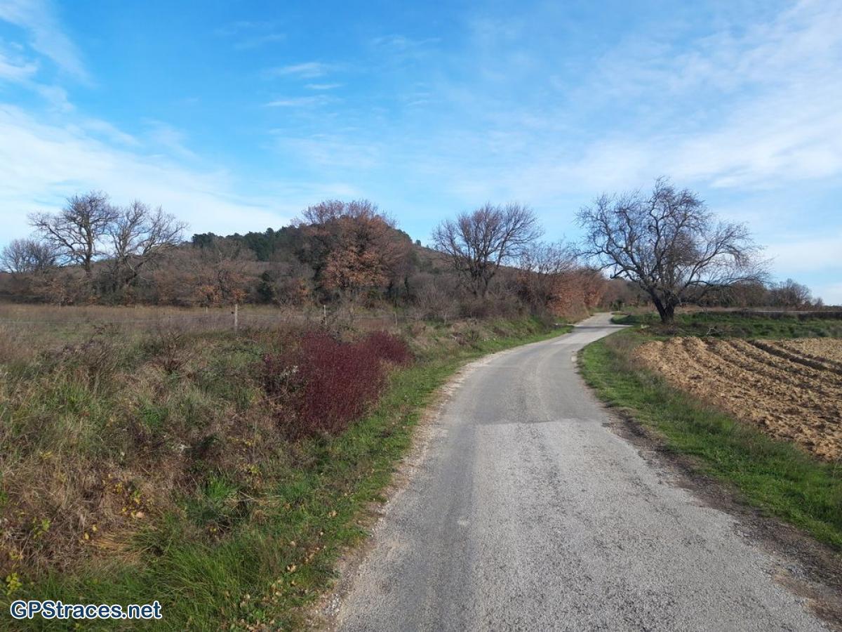 Le chemin du retour