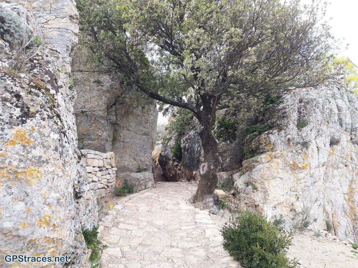 Gard-Le Mont Bouquet - Le Castellas–8