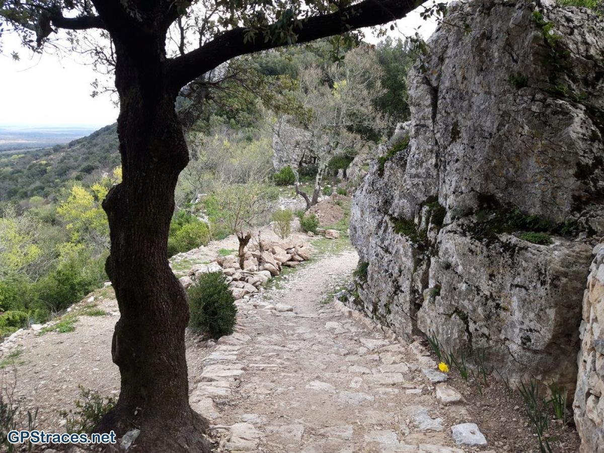 Gard-Le Mont Bouquet - Le Castellas–9
