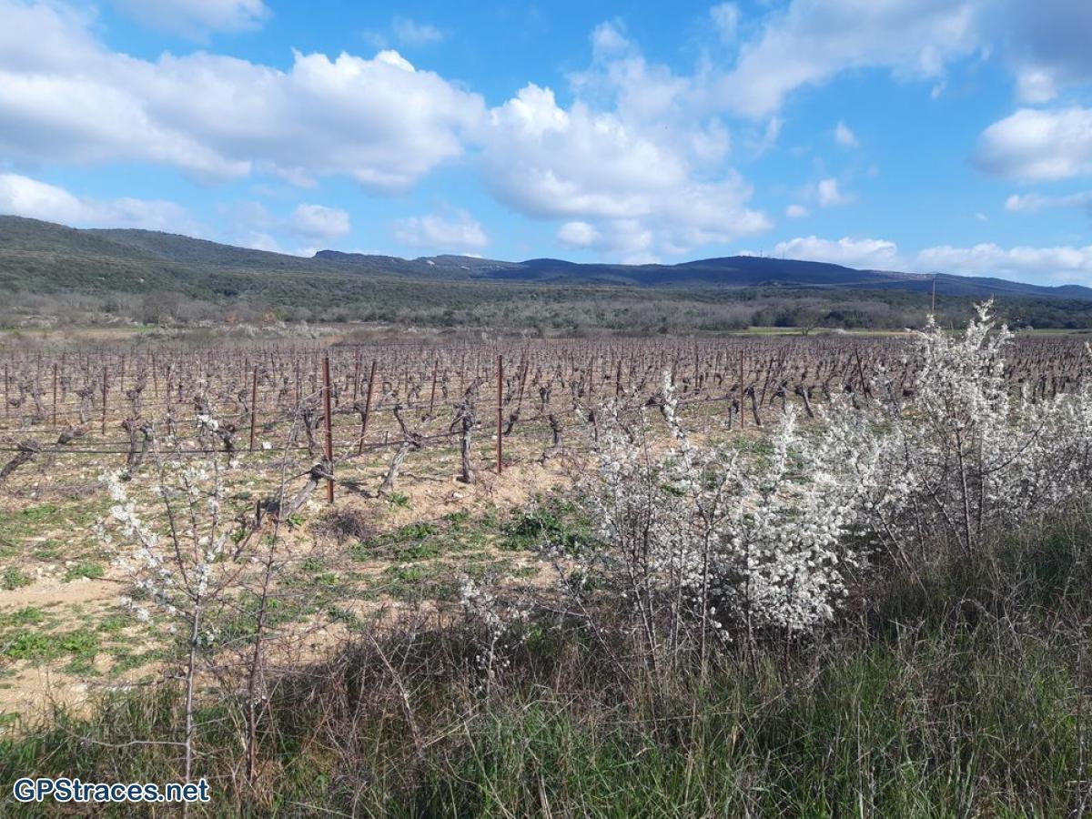Gard-Le Mont Bouquet - Le Castellas–16
