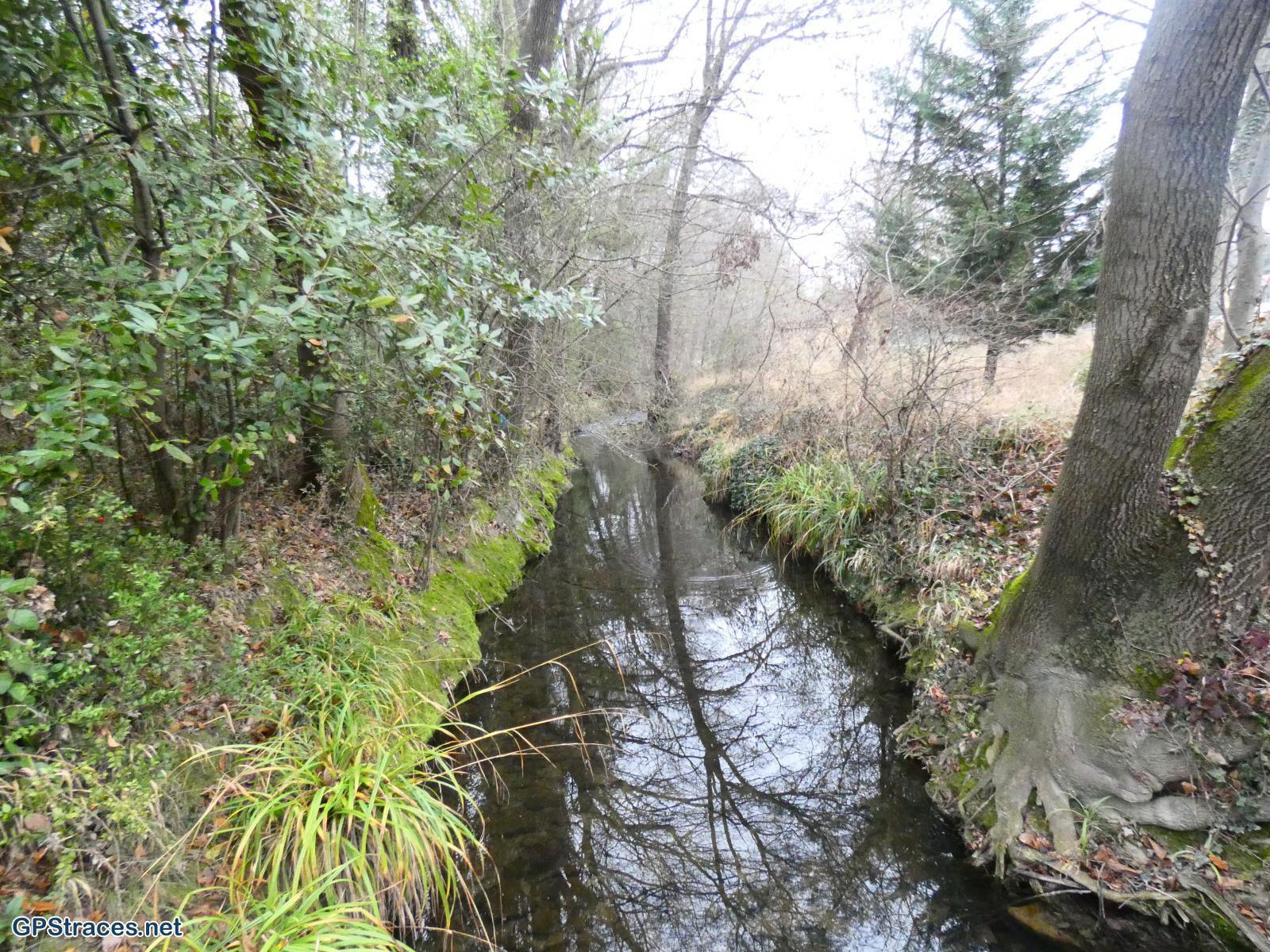 Gard-Montaren - Serviers–5
