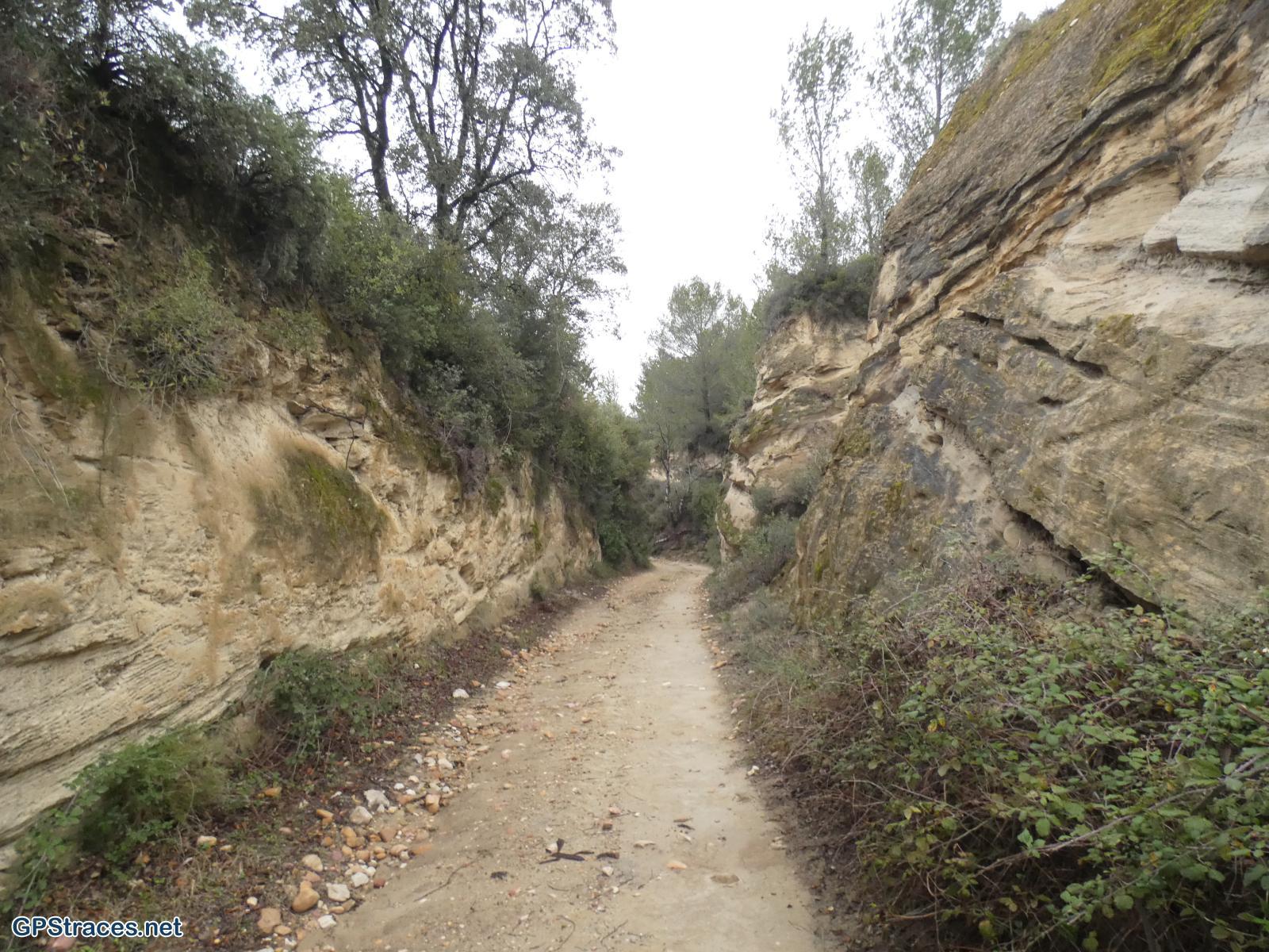 Gard-Le Mourre du sable - Vachusclaire–4