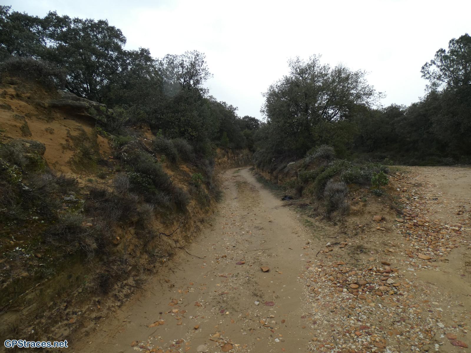 Gard-Le Mourre du sable - Vachusclaire–5