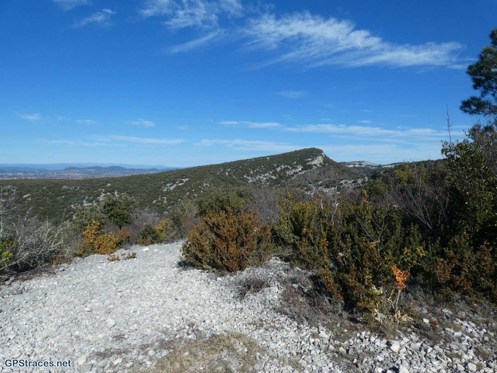 Gautefrache